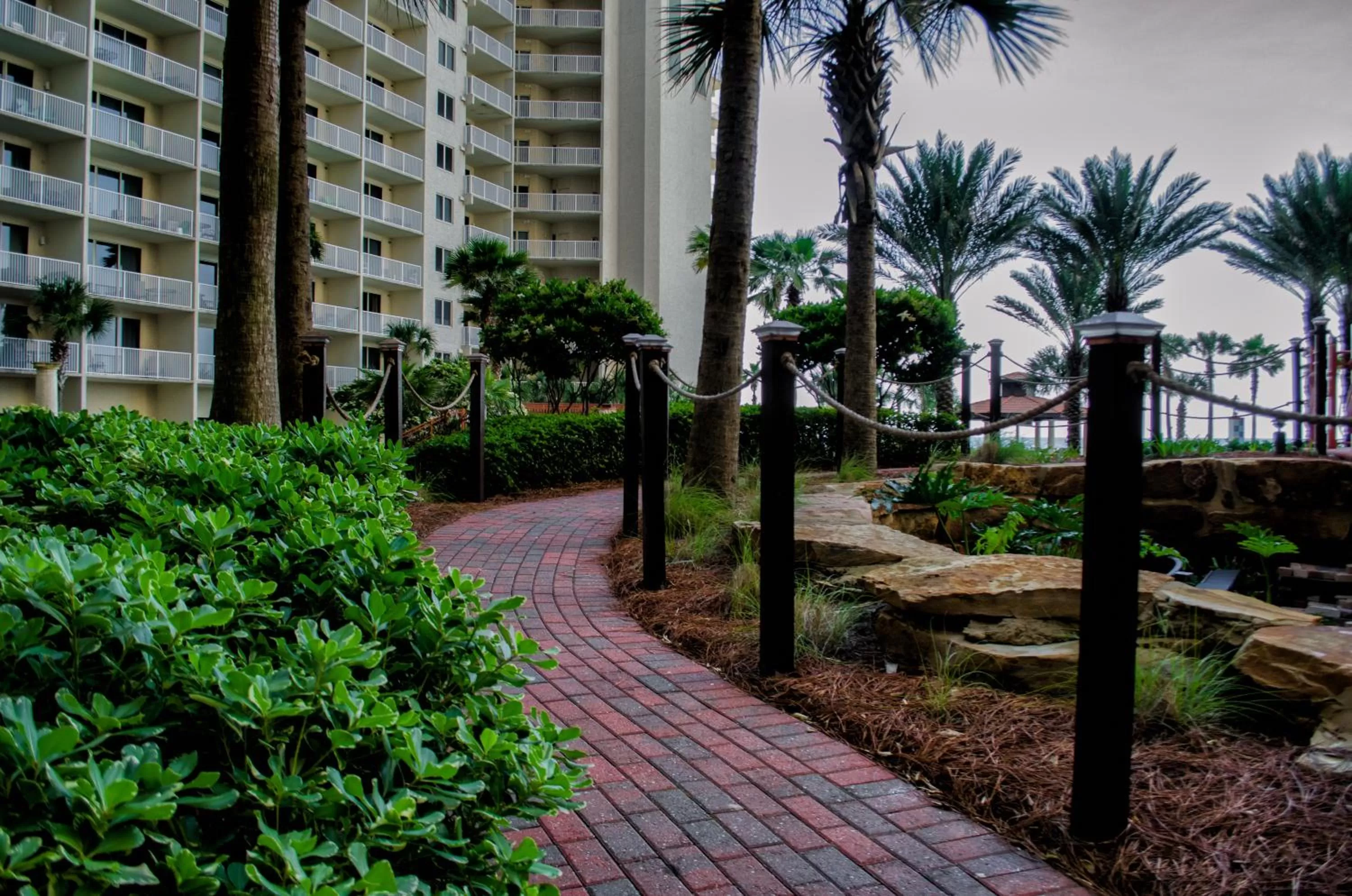 Natural landscape in Shores of Panama Resort