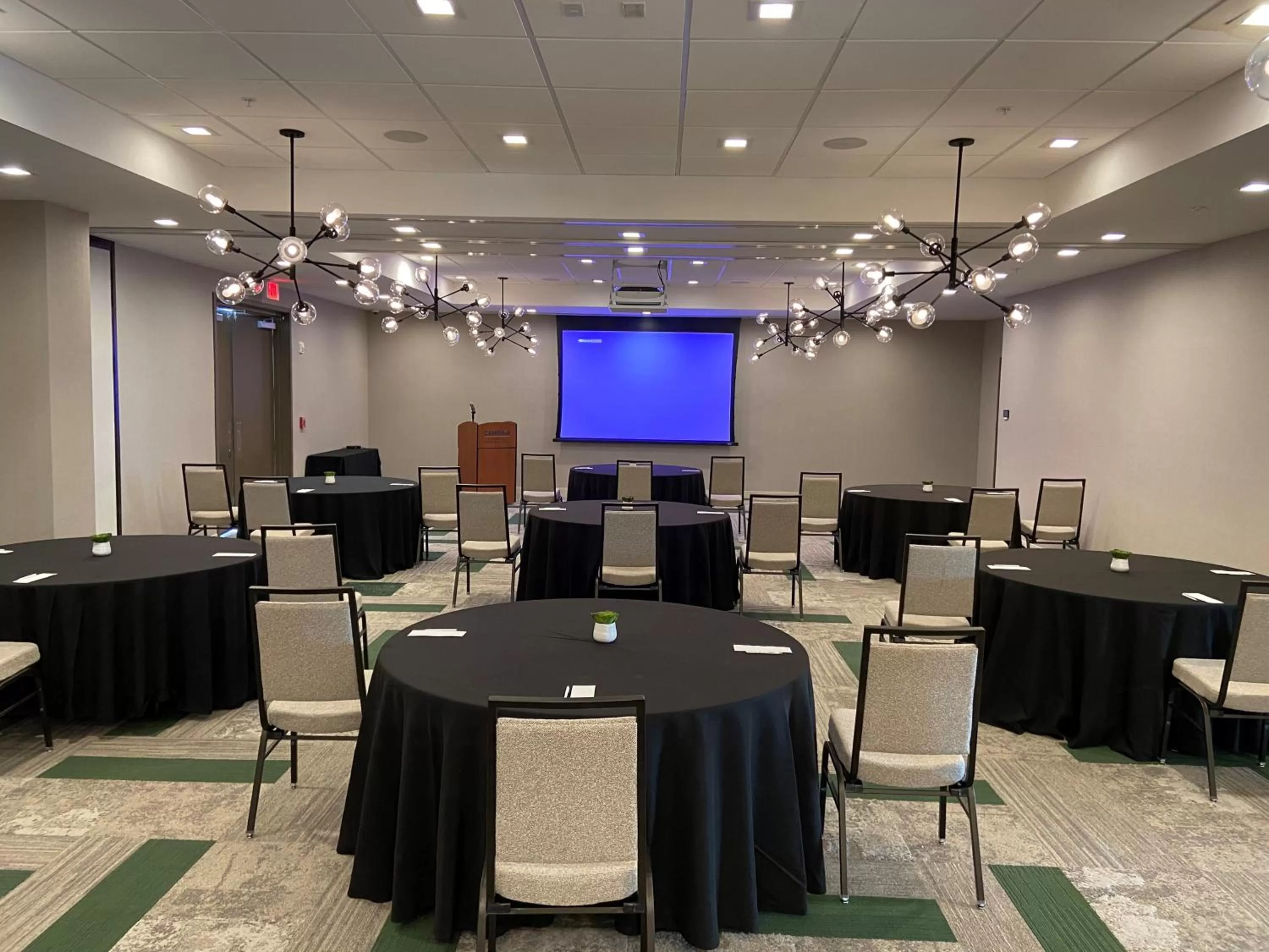 Banquet/Function facilities in Cambria Hotel St Petersburg-Madeira Beach Marina