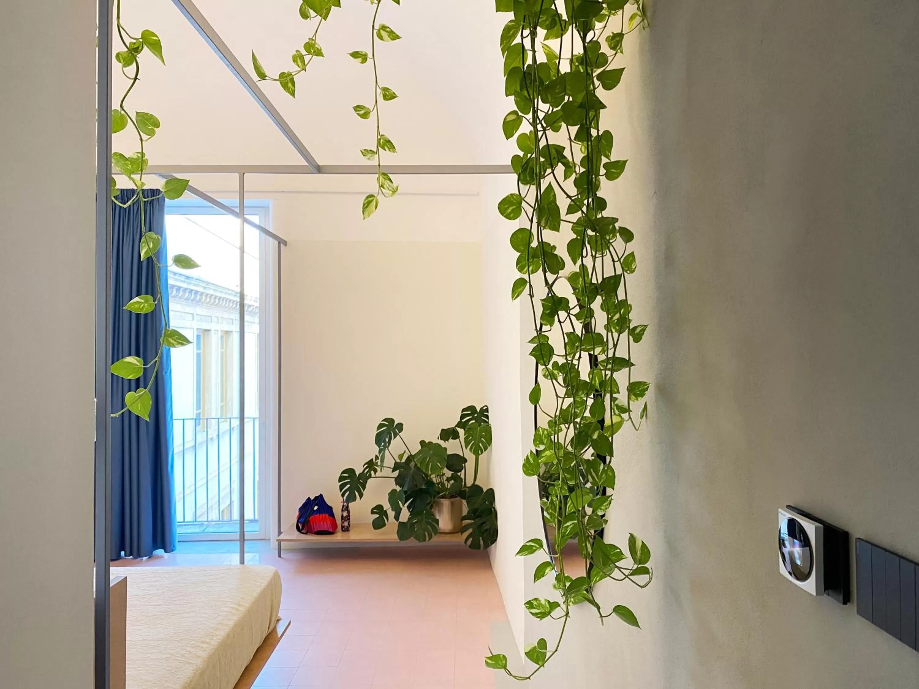 Photo of the whole room in Zahara