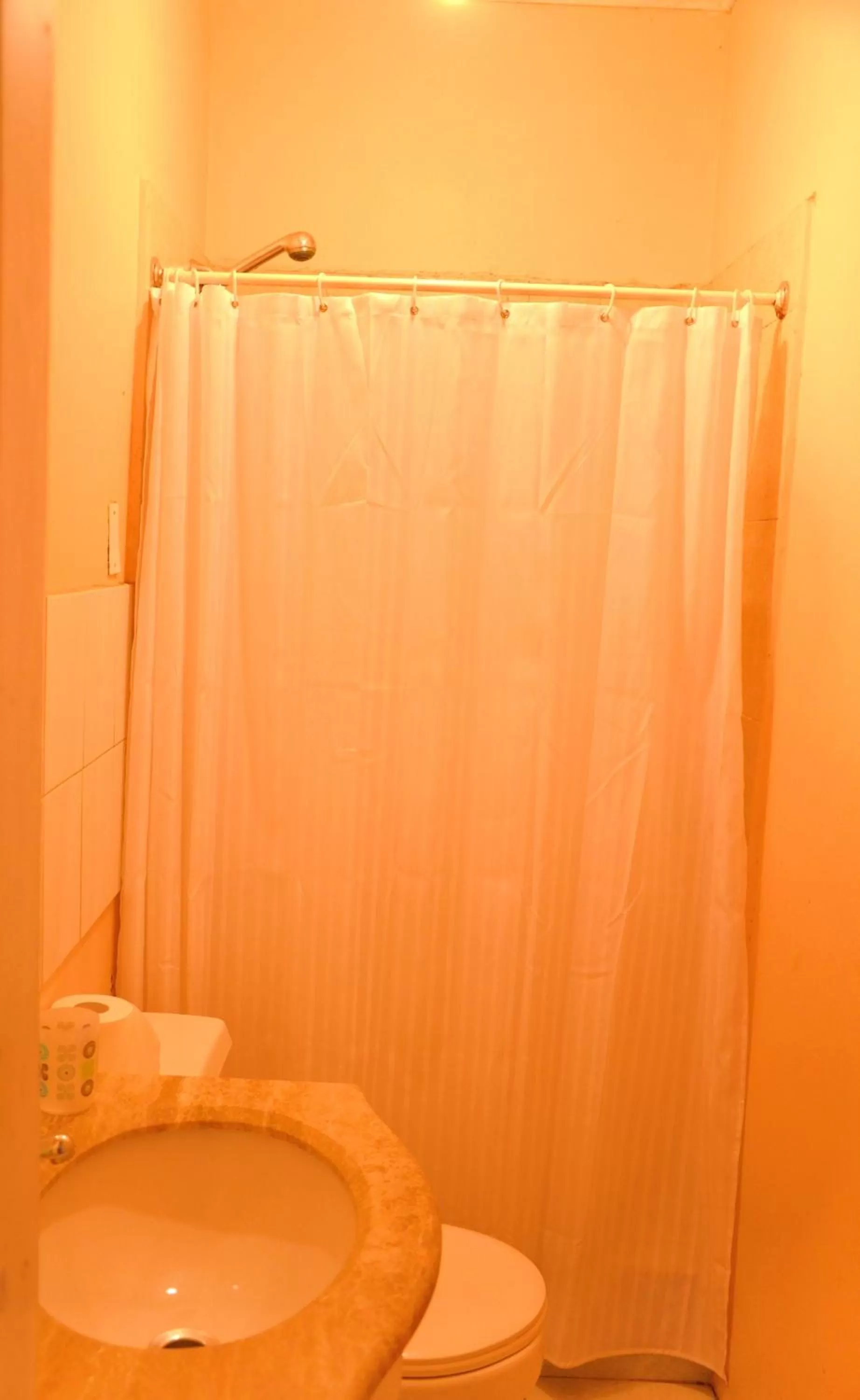 Bathroom in Tralkan B&B