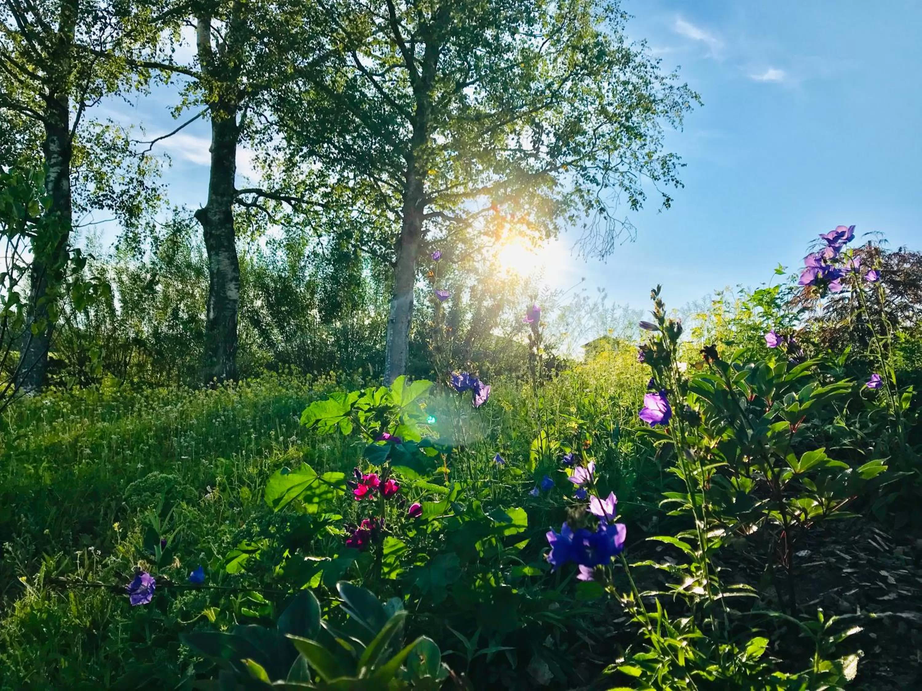 Natural landscape, Garden in Alpenloge Hotel