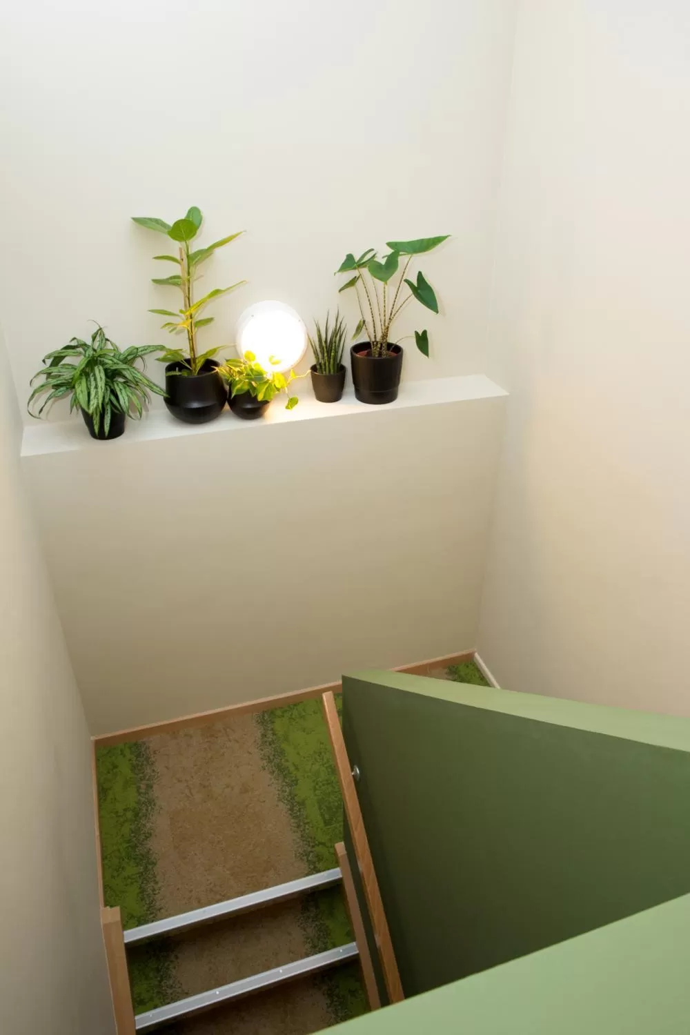 Property building in Appart hôtel En Ville