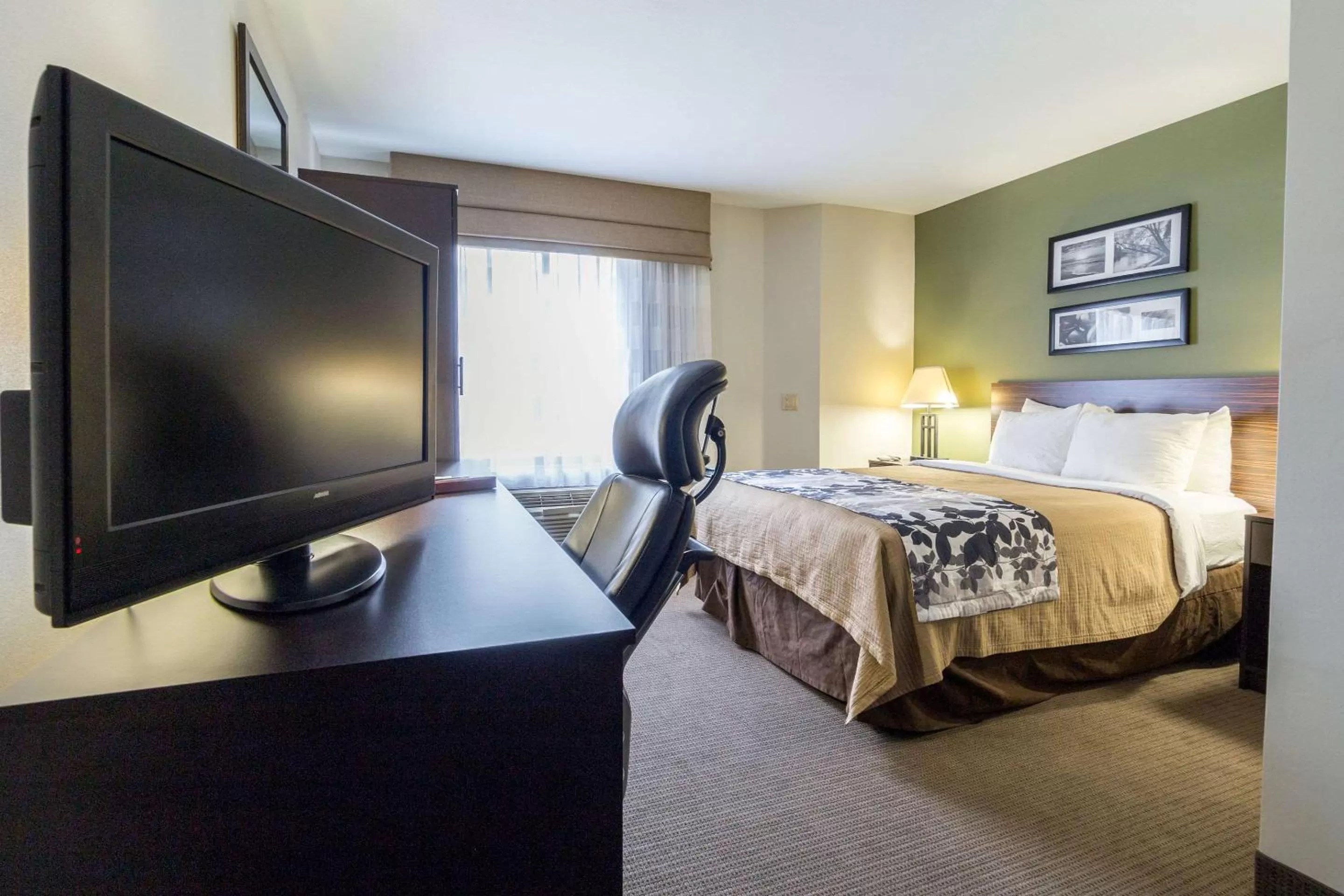 Photo of the whole room in Sky Harbor Airport Inn