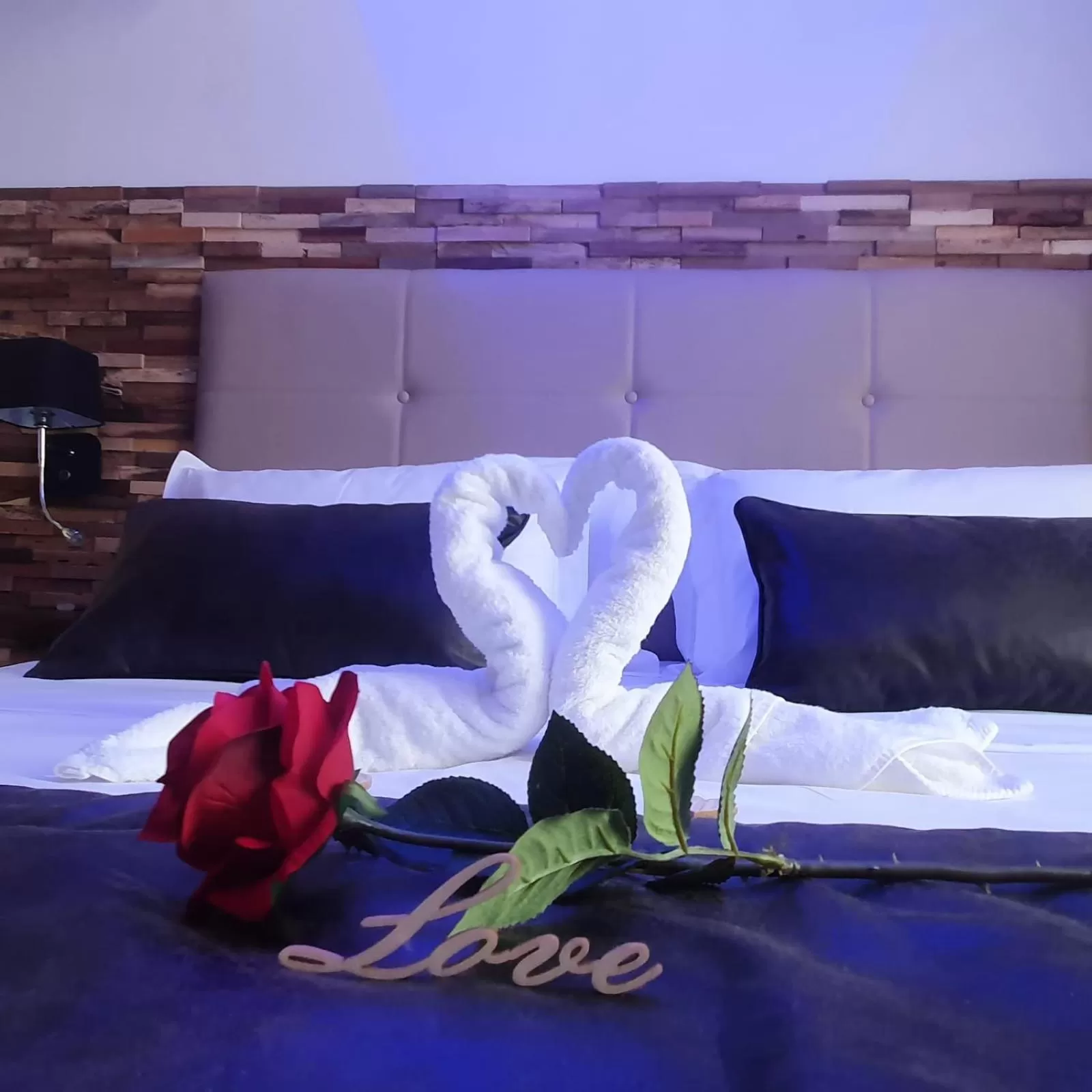 Bedroom in Loveroom La Garçonn'Hyères