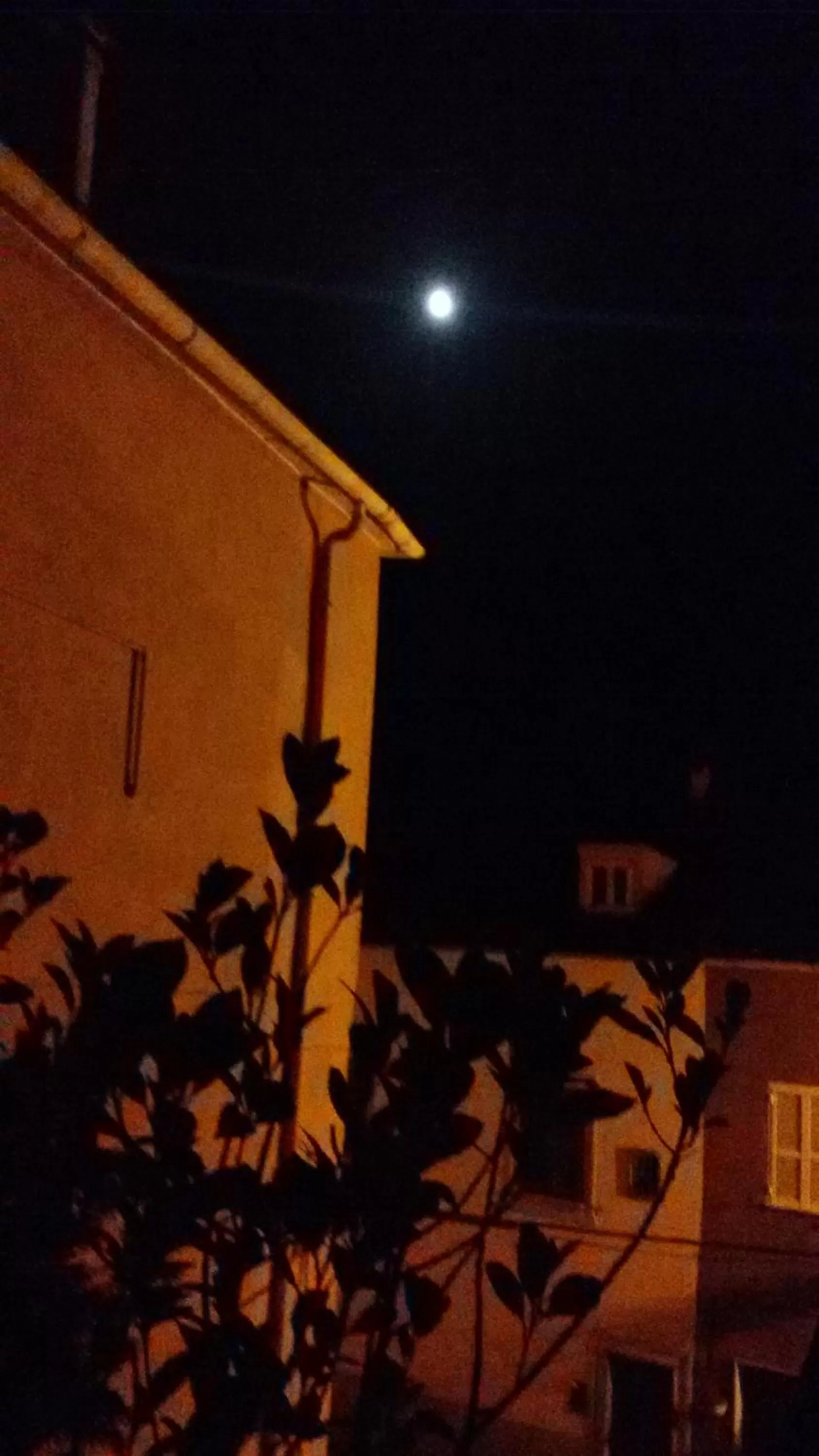 View (from property/room) in Nerone's - Sutri Bed & Dinner