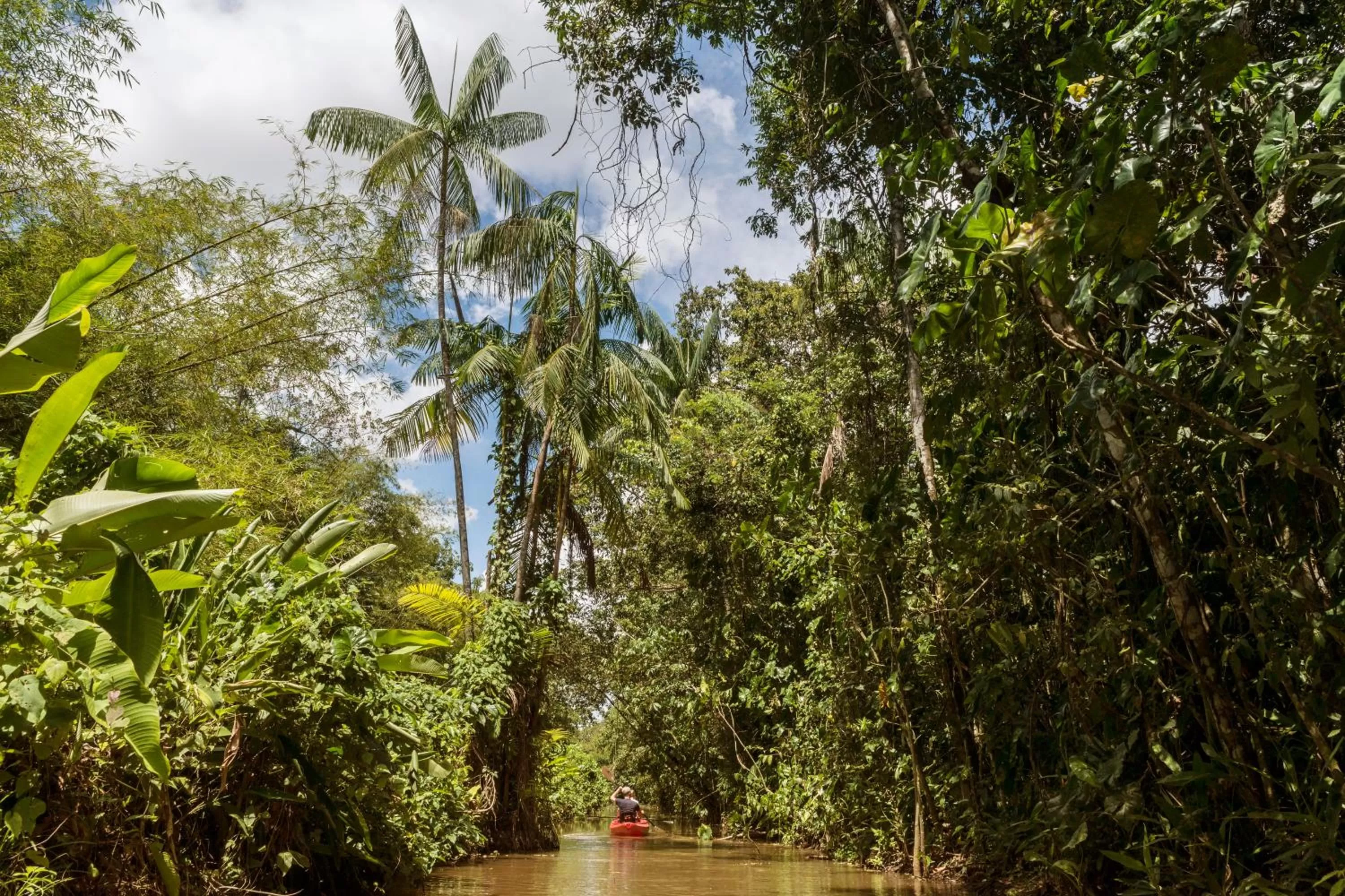 Natural landscape in Boutique Hotel Peperpot