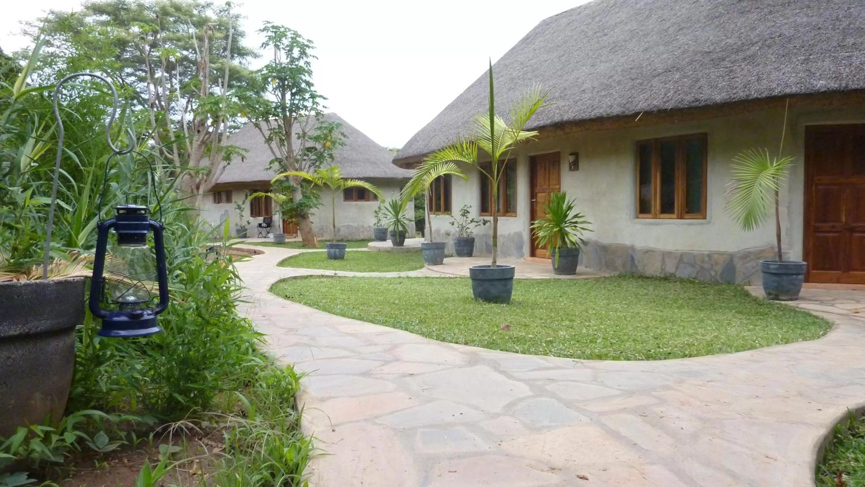 Property Building in Wild Dogs Lodge