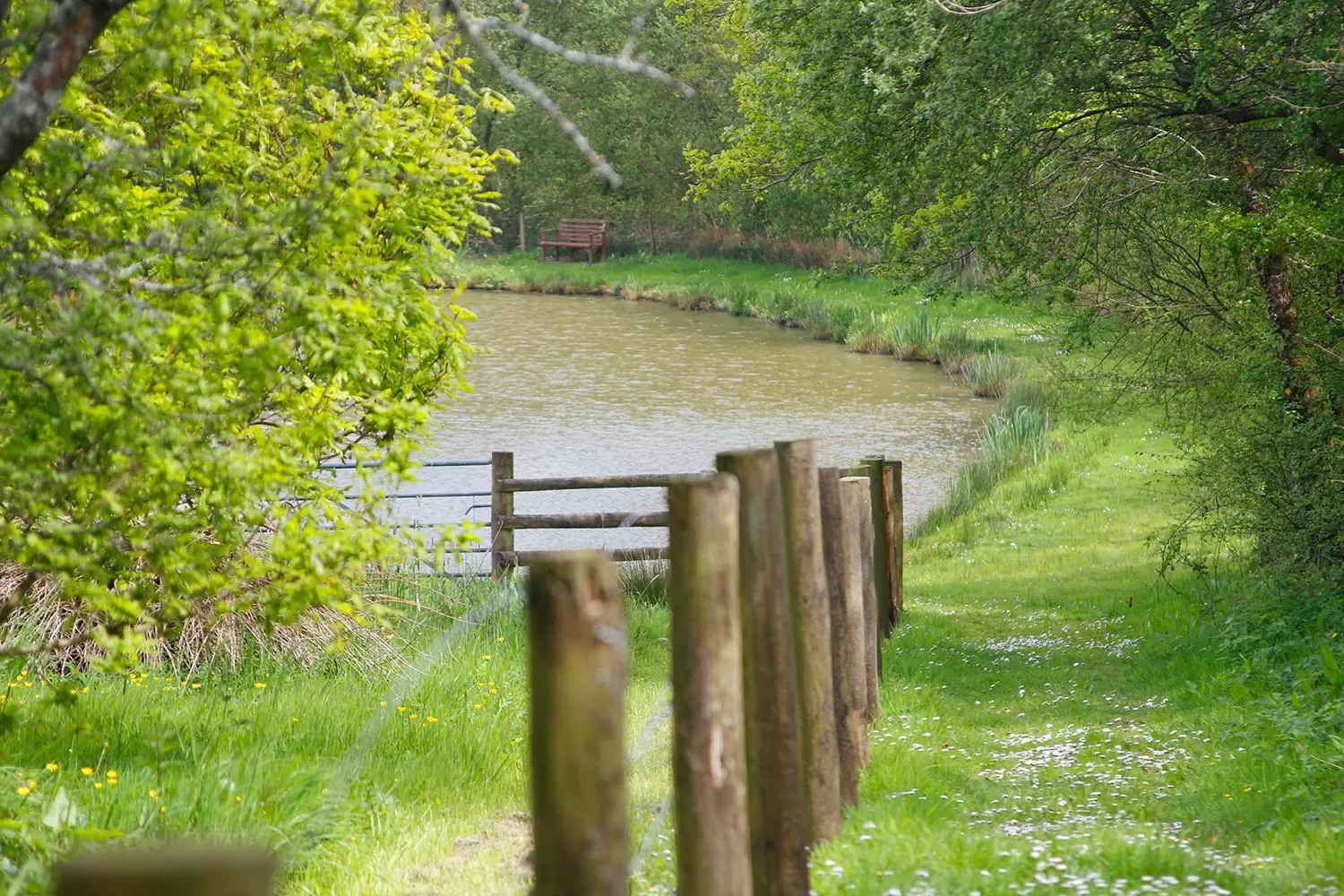 Natural landscape in Leworthy Farmhouse Bed and Breakfast