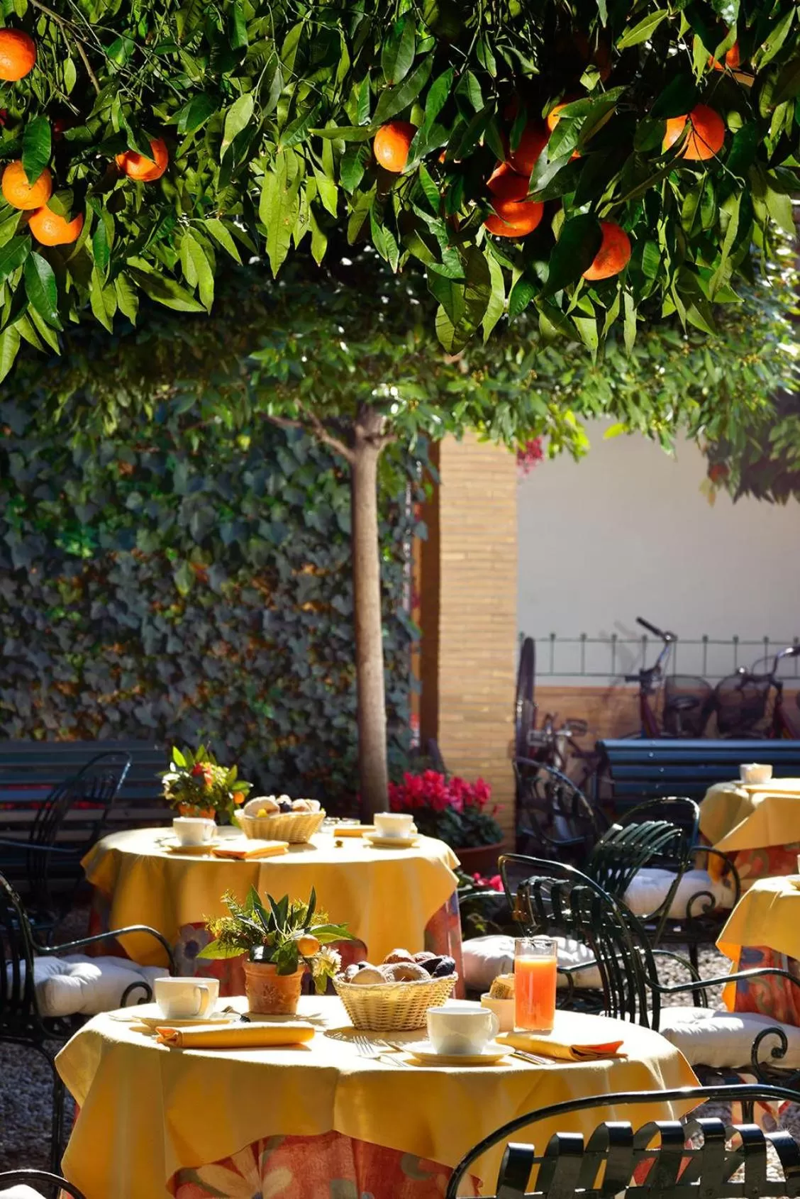 Restaurant/places to eat in Hotel Santa Maria