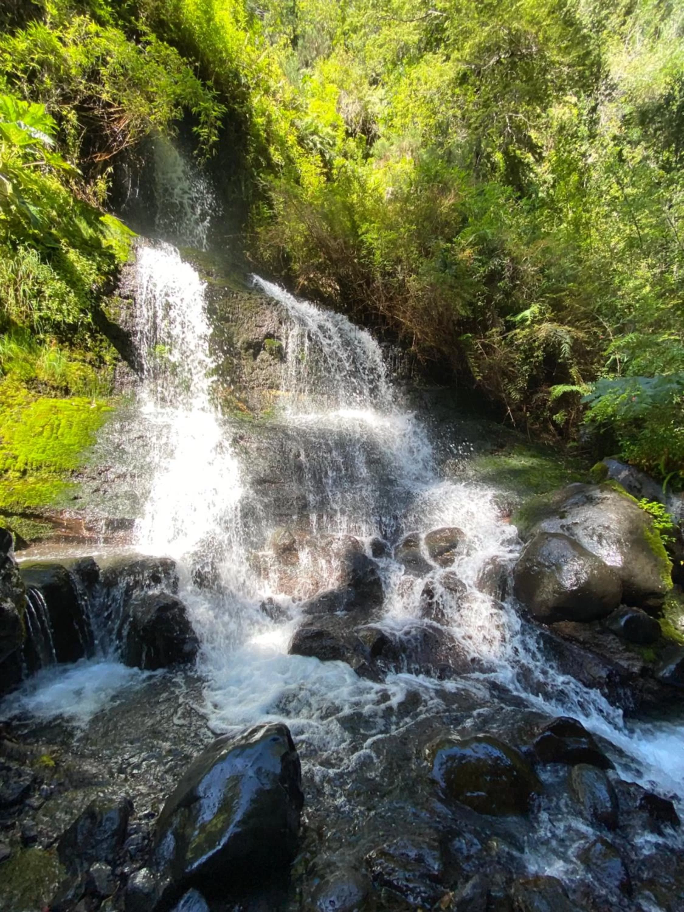 Activities in Hotel Enjoy Pucón