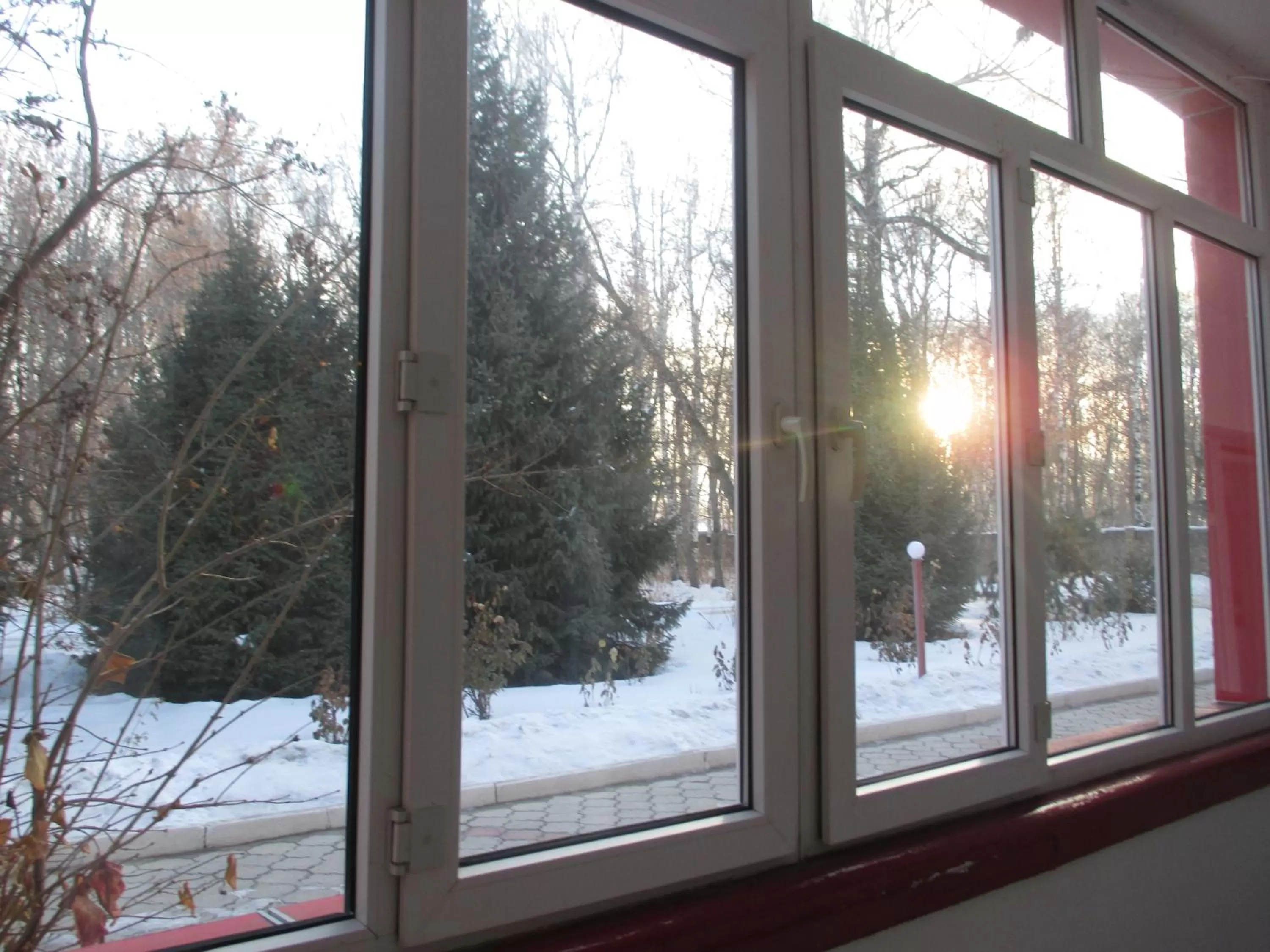 Garden view in Otel Issyk-Kul Karakol