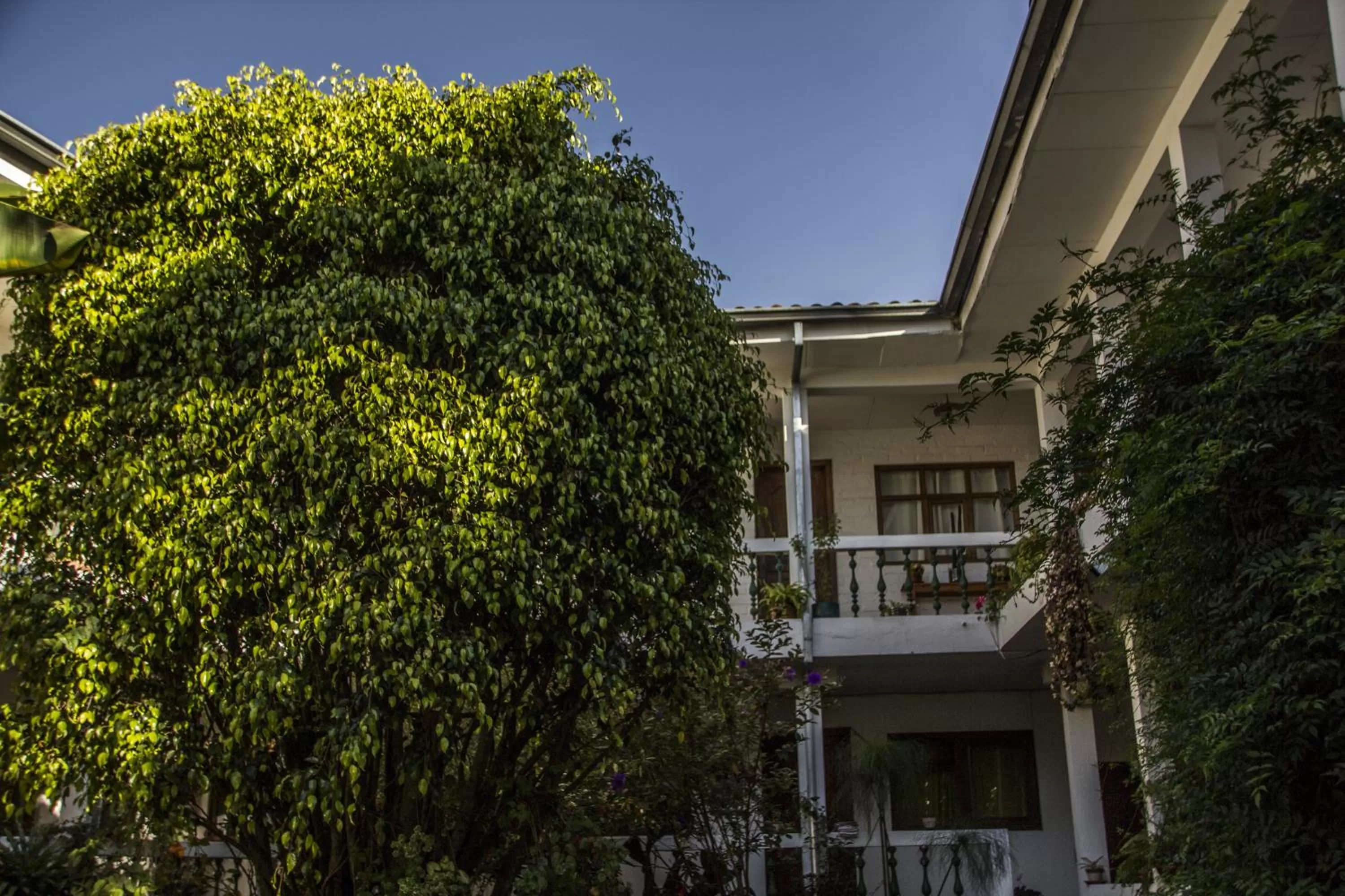 Garden, Property Building in Apartamentos Otorongo Cuenca Ecuador