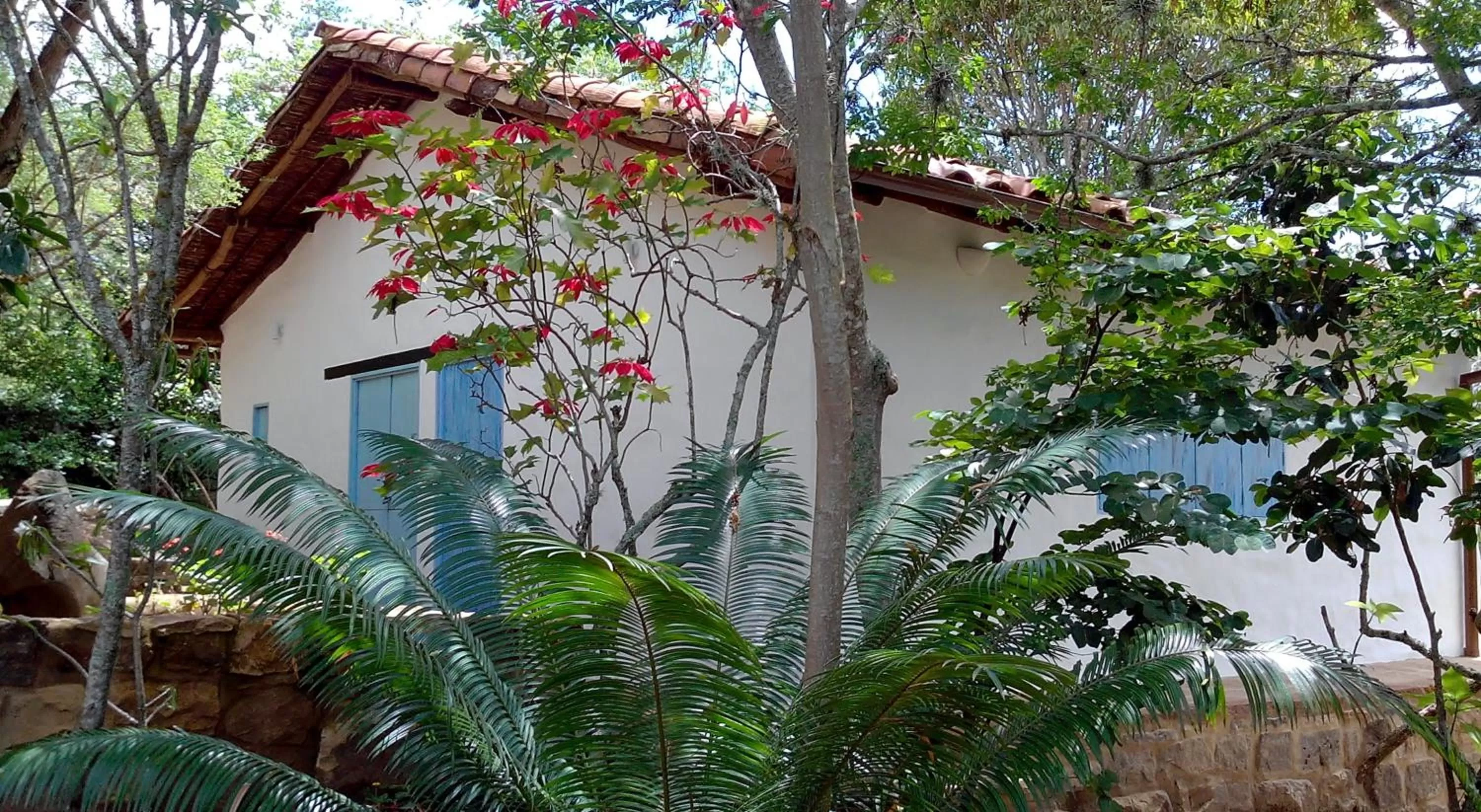 Garden, Property Building in Posada Finca San Vicente B&B