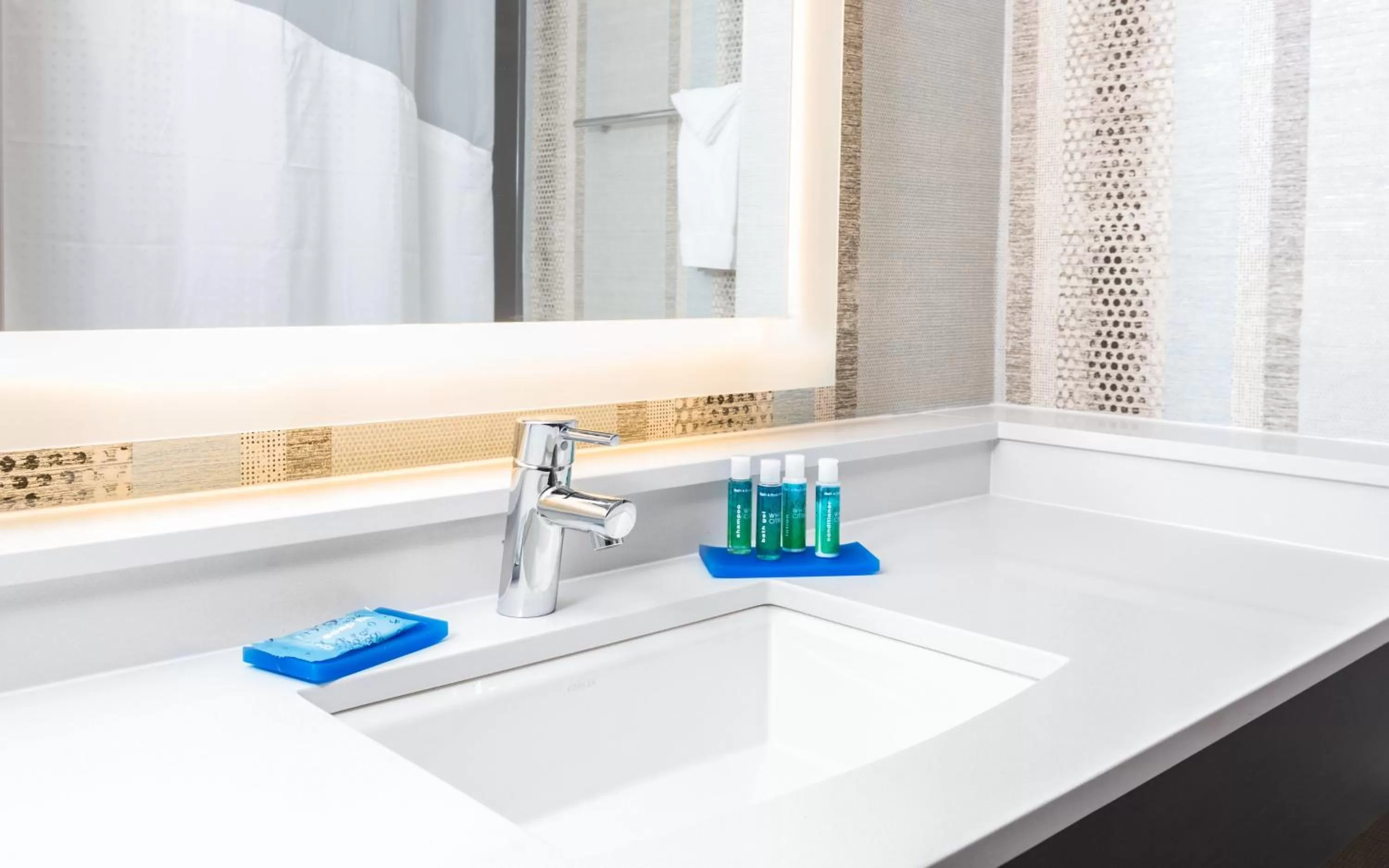 Bathroom in Holiday Inn Express Hotel & Suites Eugene Downtown - University by IHG