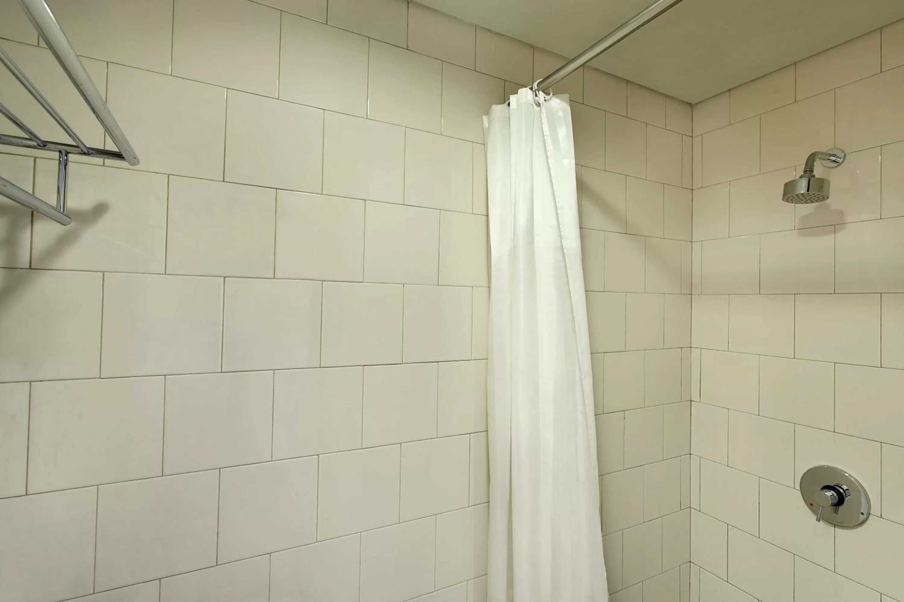 Shower in Ibis Budget Jakarta Cikini