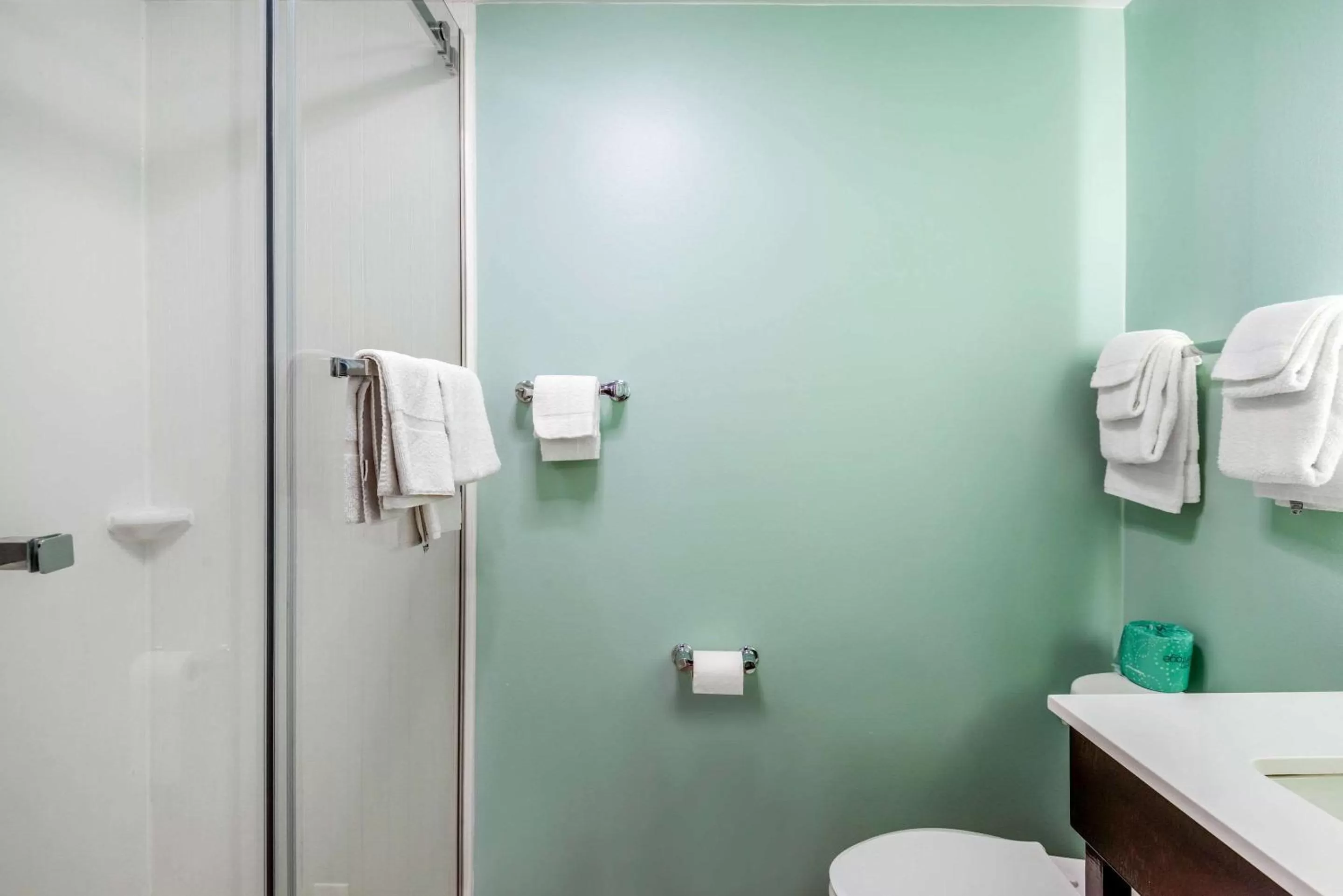 Bedroom in Quality Inn & Suites Lincoln I-93