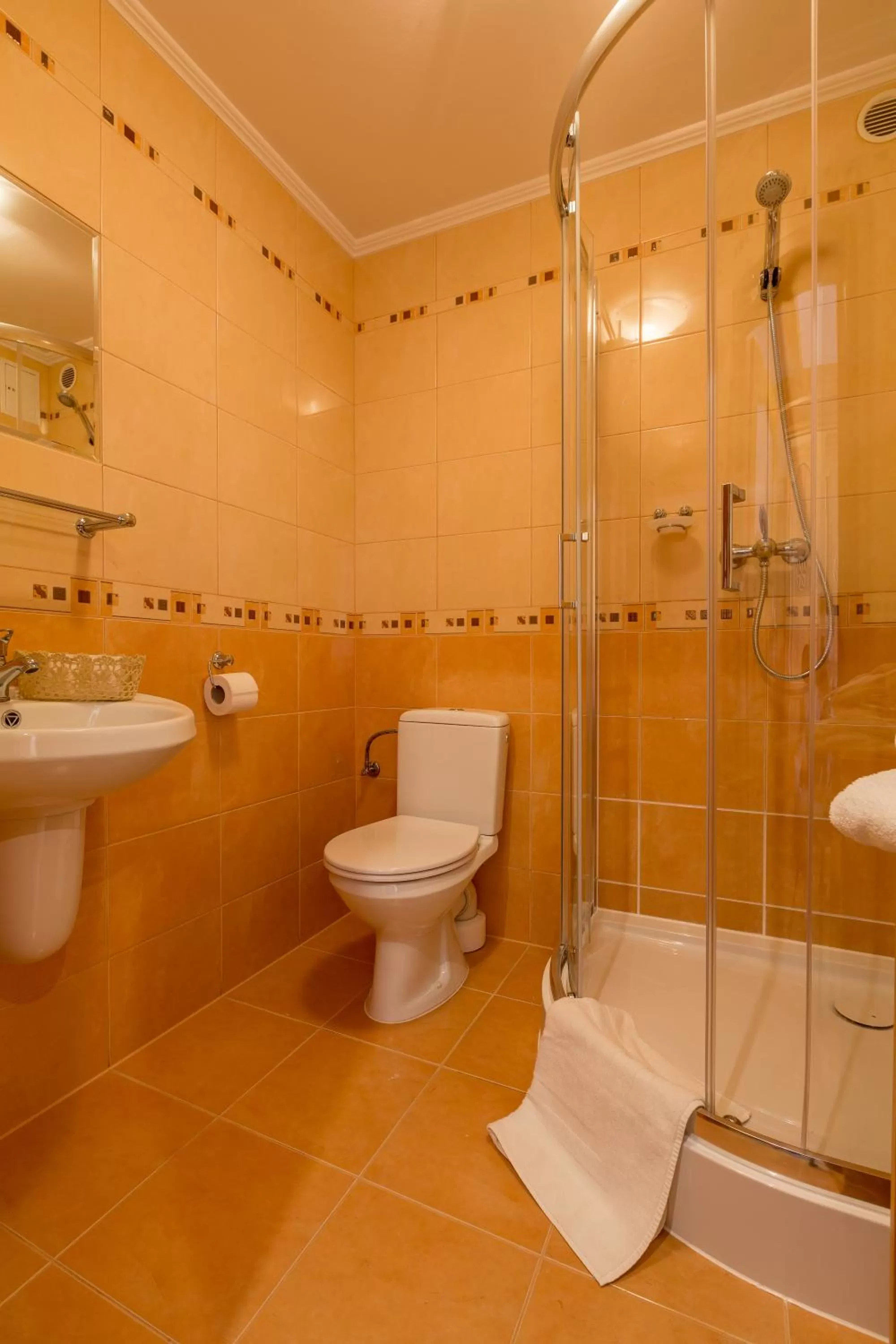 Shower in Willa Góralsko Riwiera