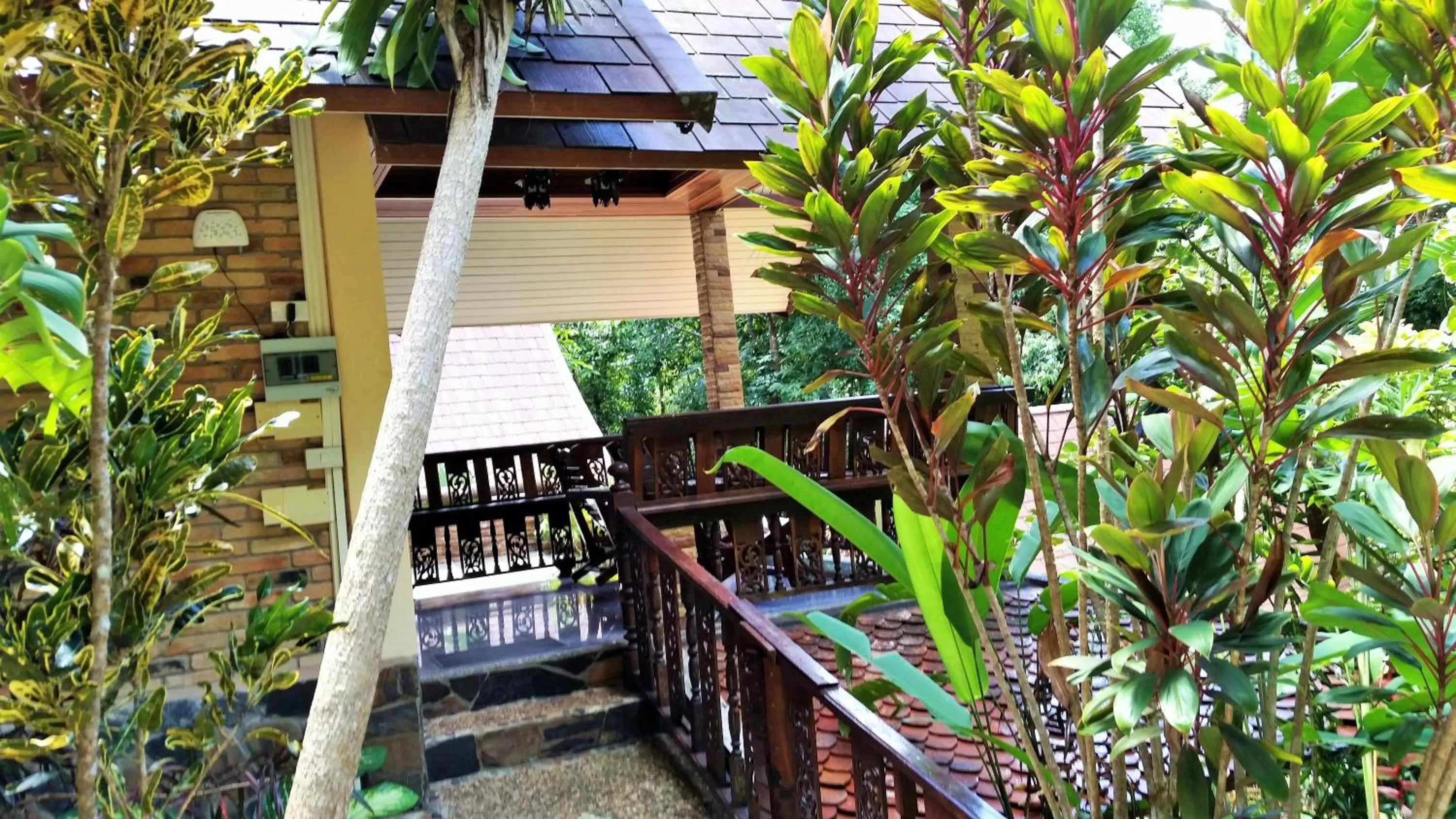 Day in Khao Sok Las Orquideas Resort