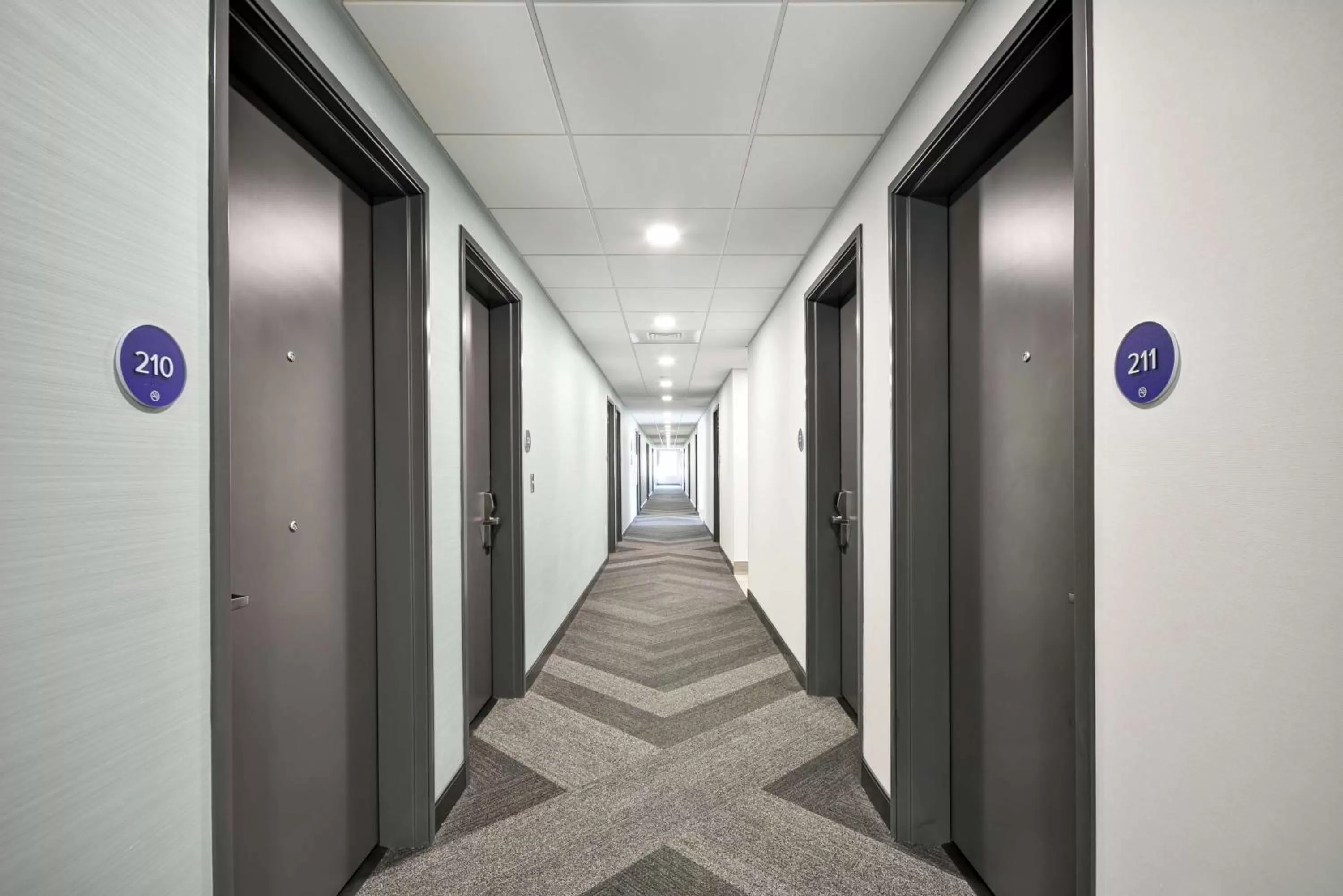 Lobby or reception in Tru By Hilton Sumter