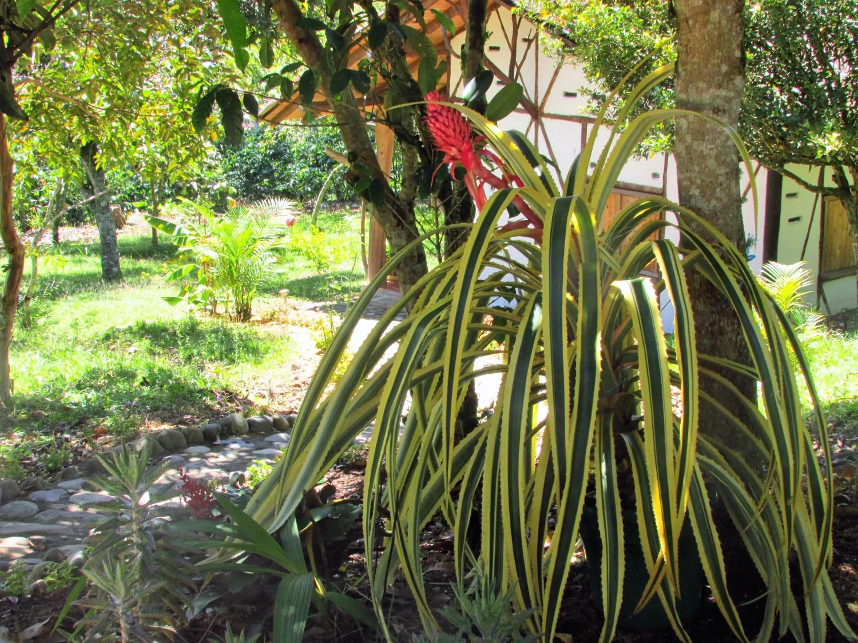 Garden, Other Animals in Hotel La Casa de Francois