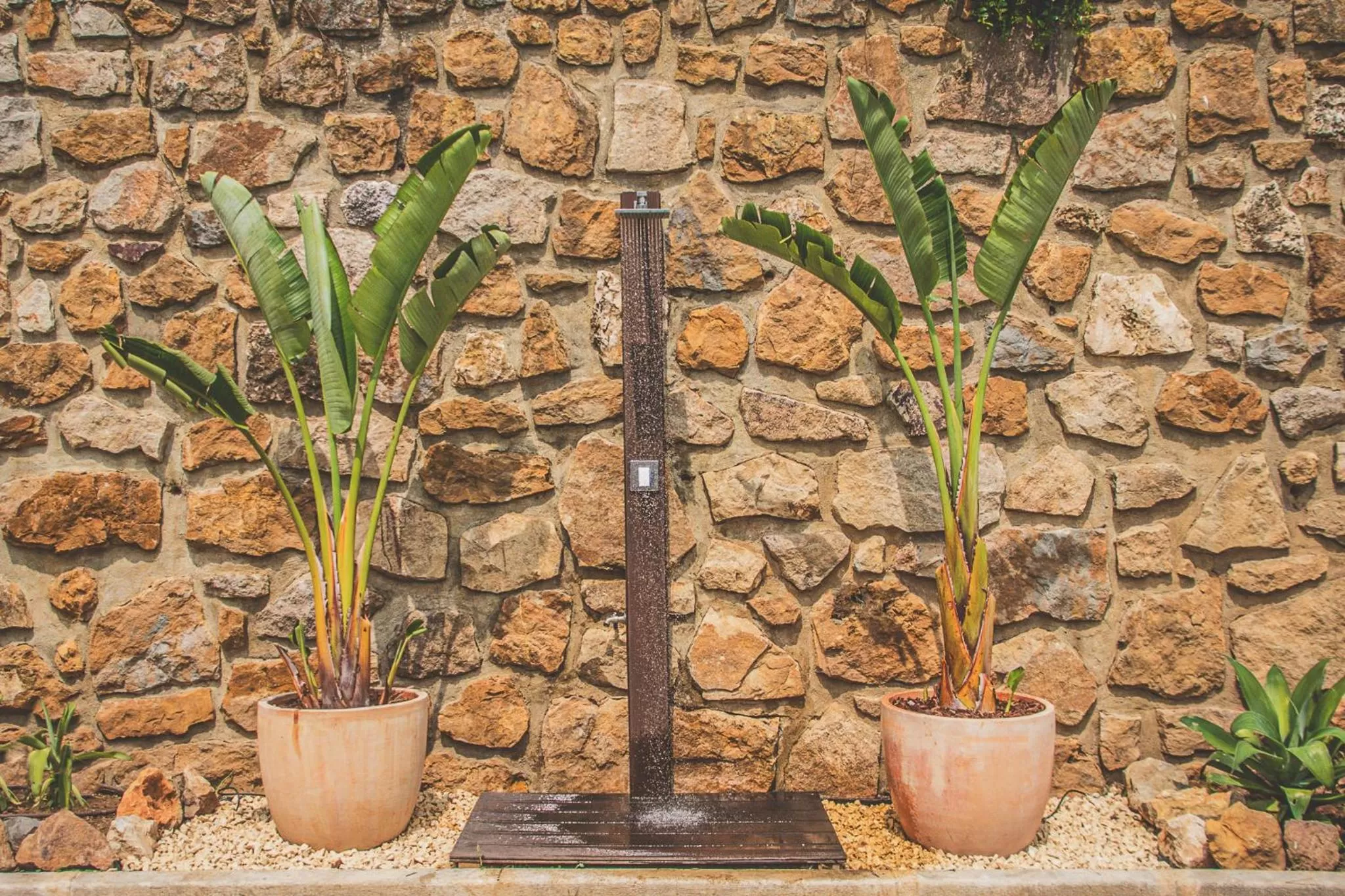 Day in Villa Pietra Estoril Eco Guesthouse