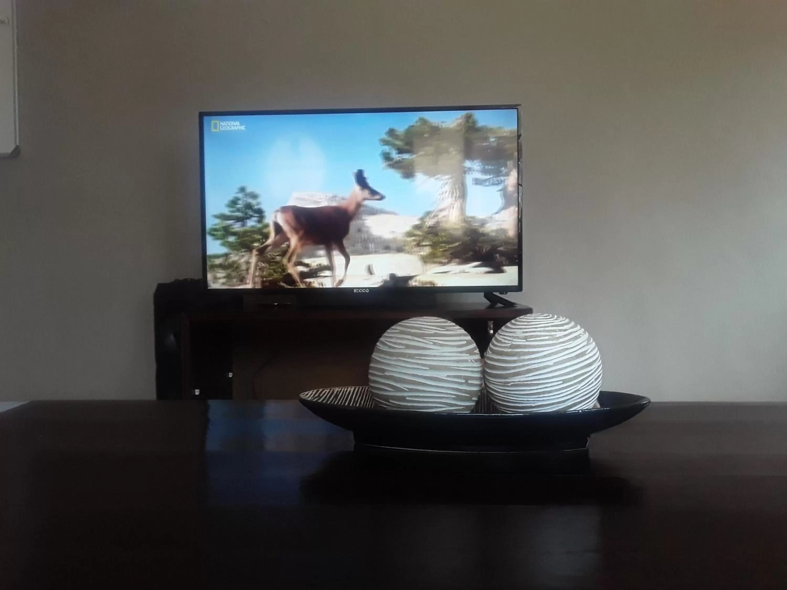 Decorative detail, TV/Entertainment Center in Vuya Nathi Bed and Breakfast