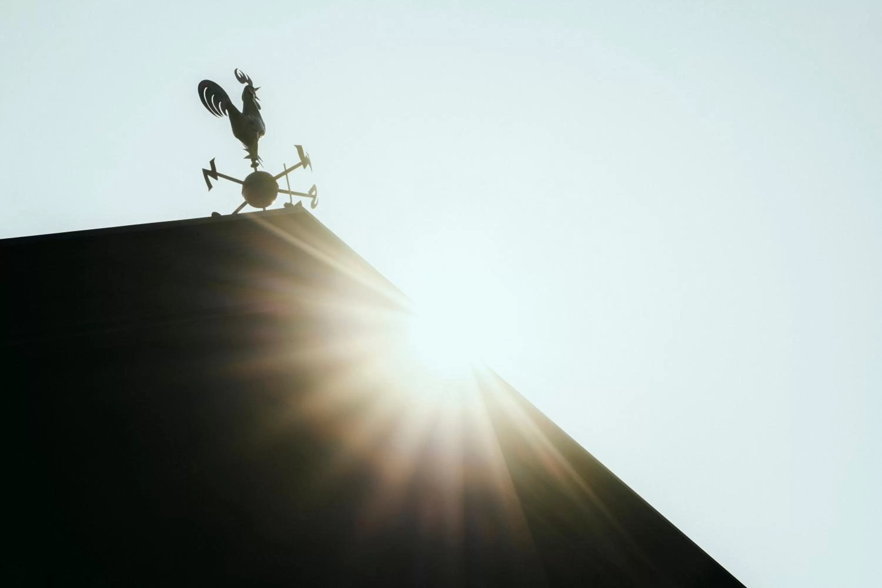 Property building in Biohotel Rastbichlhof