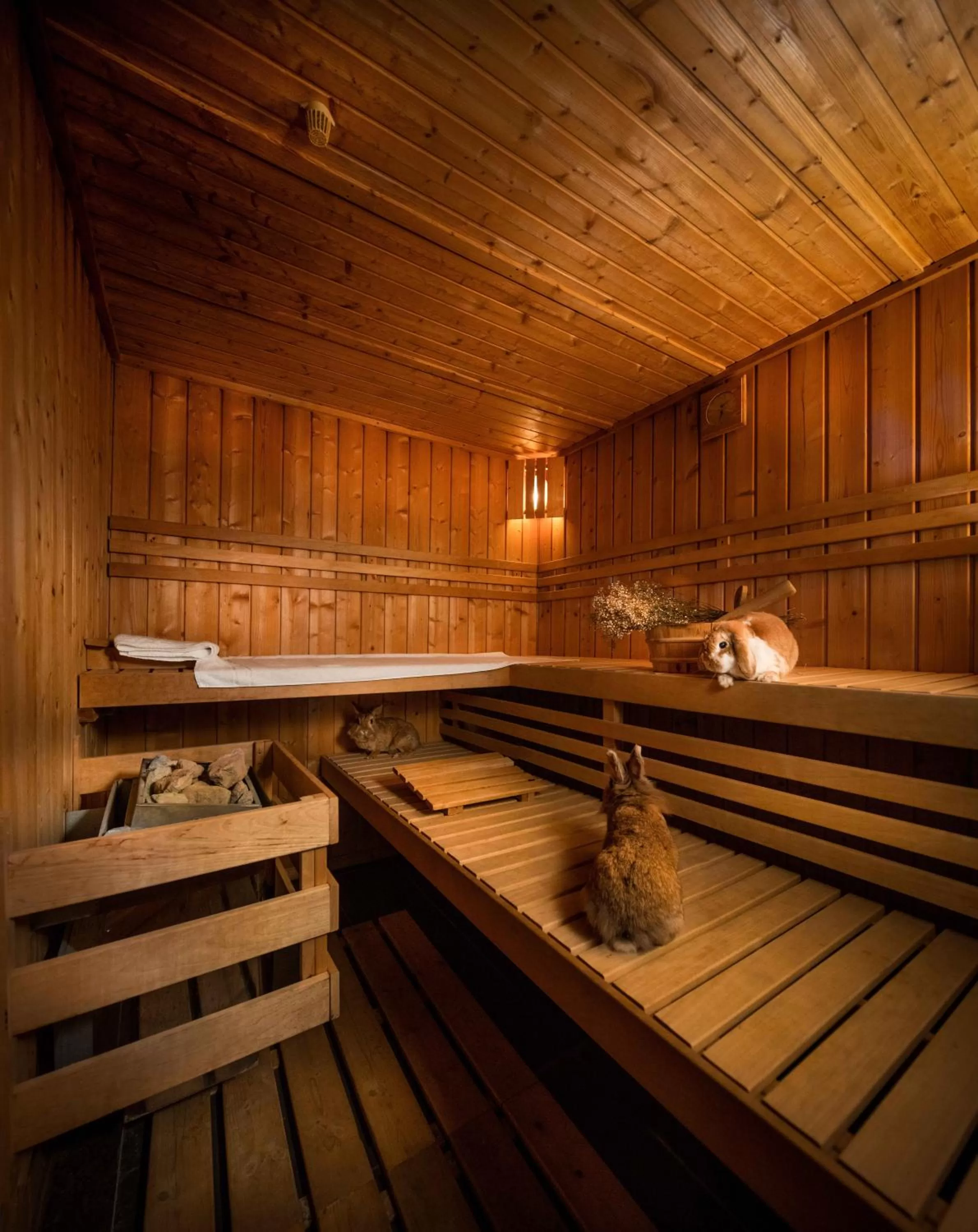 Sauna in Gartenhotel Fettehenne