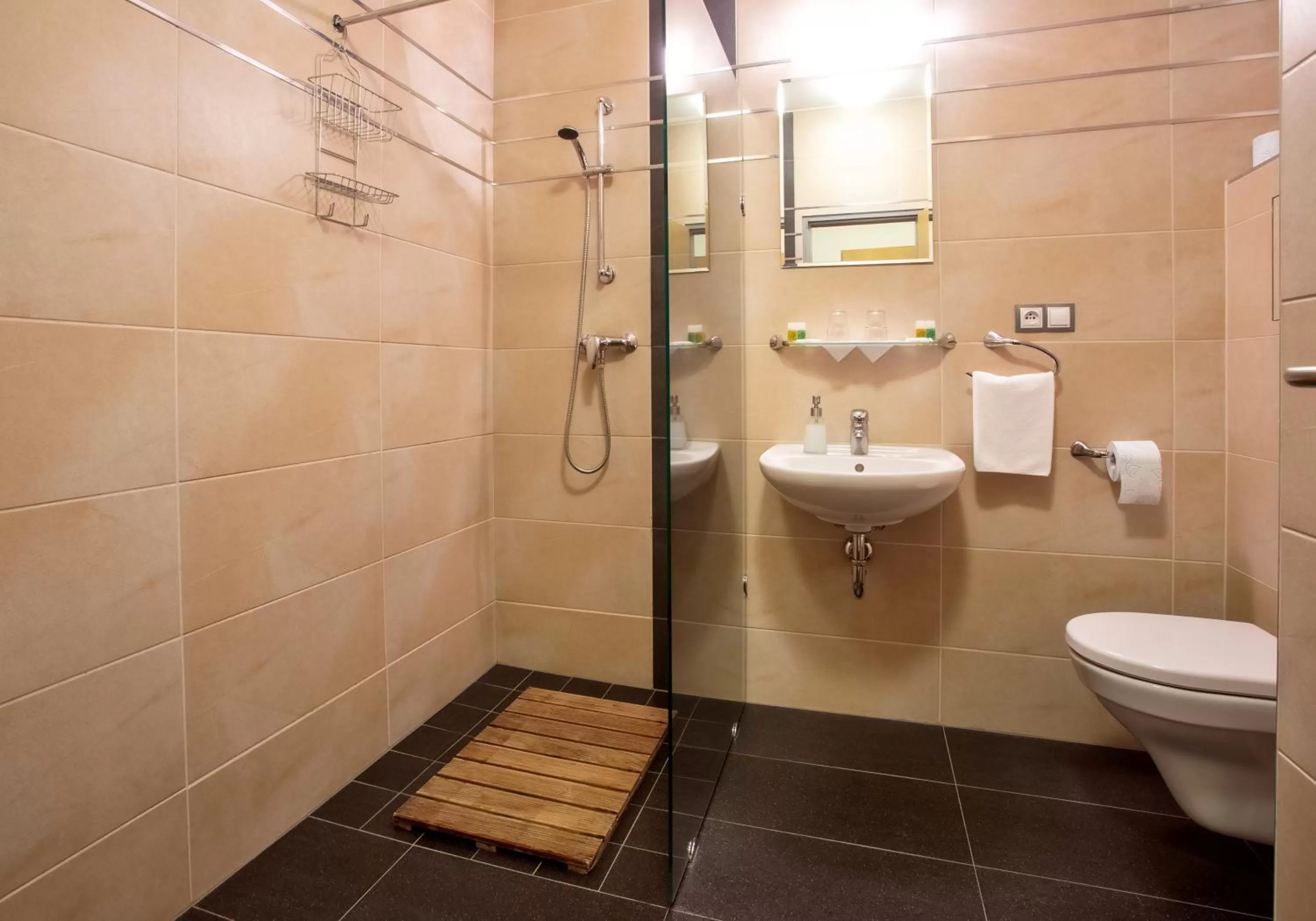 Bathroom in Hotel Lions Plzen