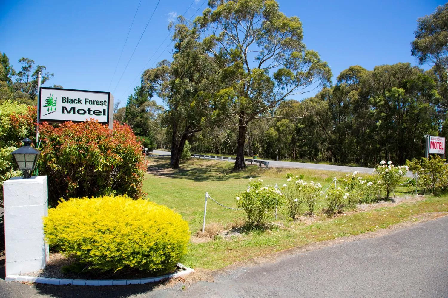 Day in Black Forest Motel