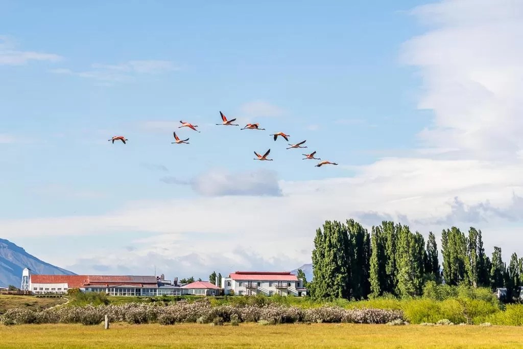 Hostería El Galpón Del Glaciar
