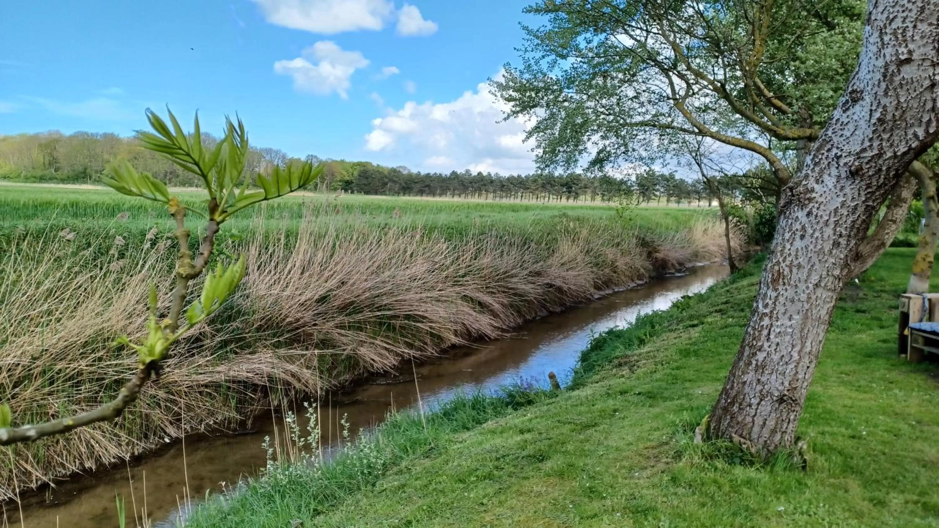 View (from property/room) in La Carte Postale