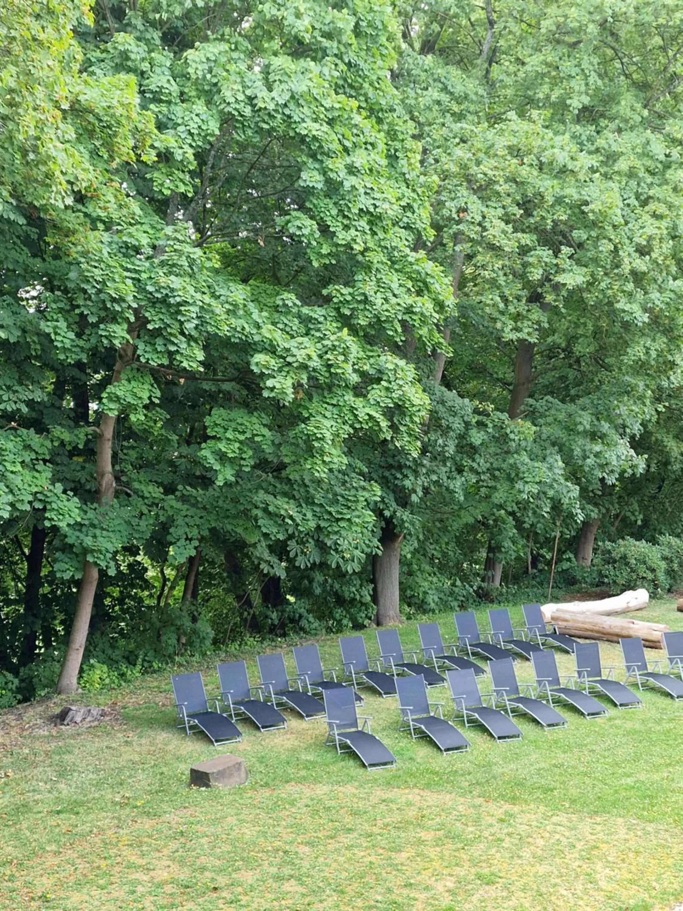 Garden in Kardinal Schulte Haus