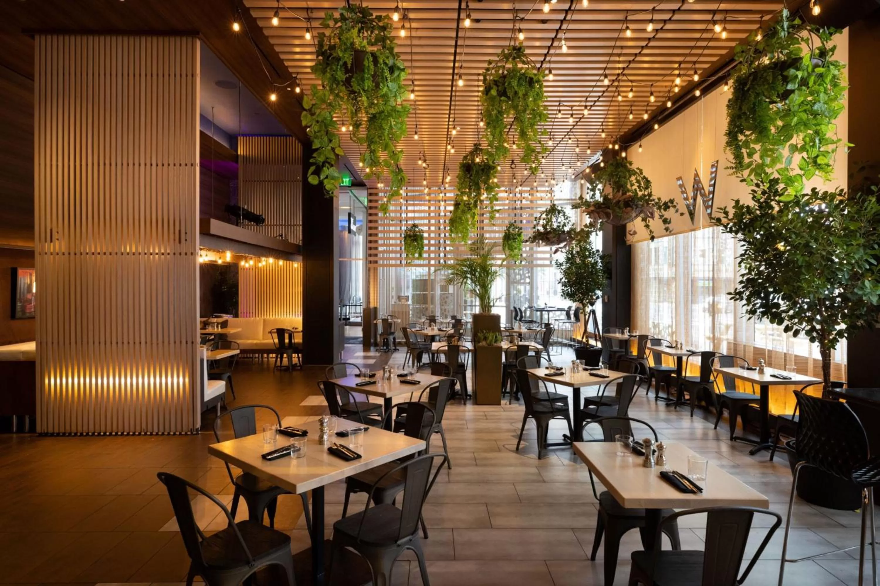 Restaurant/places to eat in W Boston