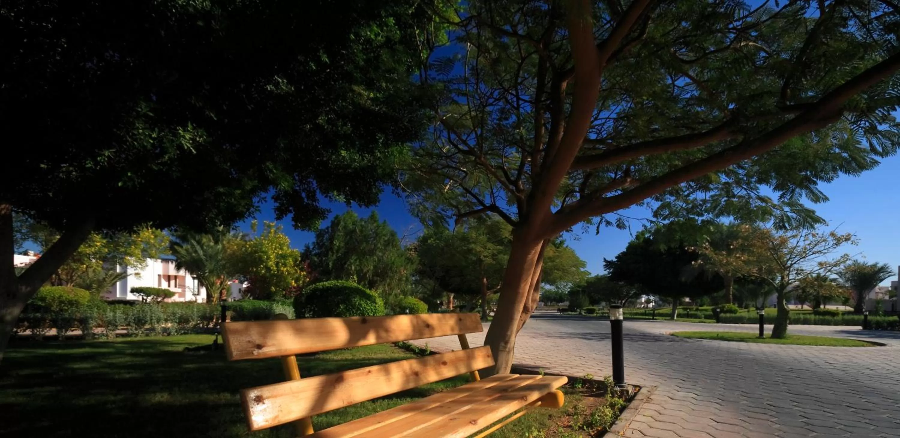 Natural landscape in Pharaoh Azur Resort