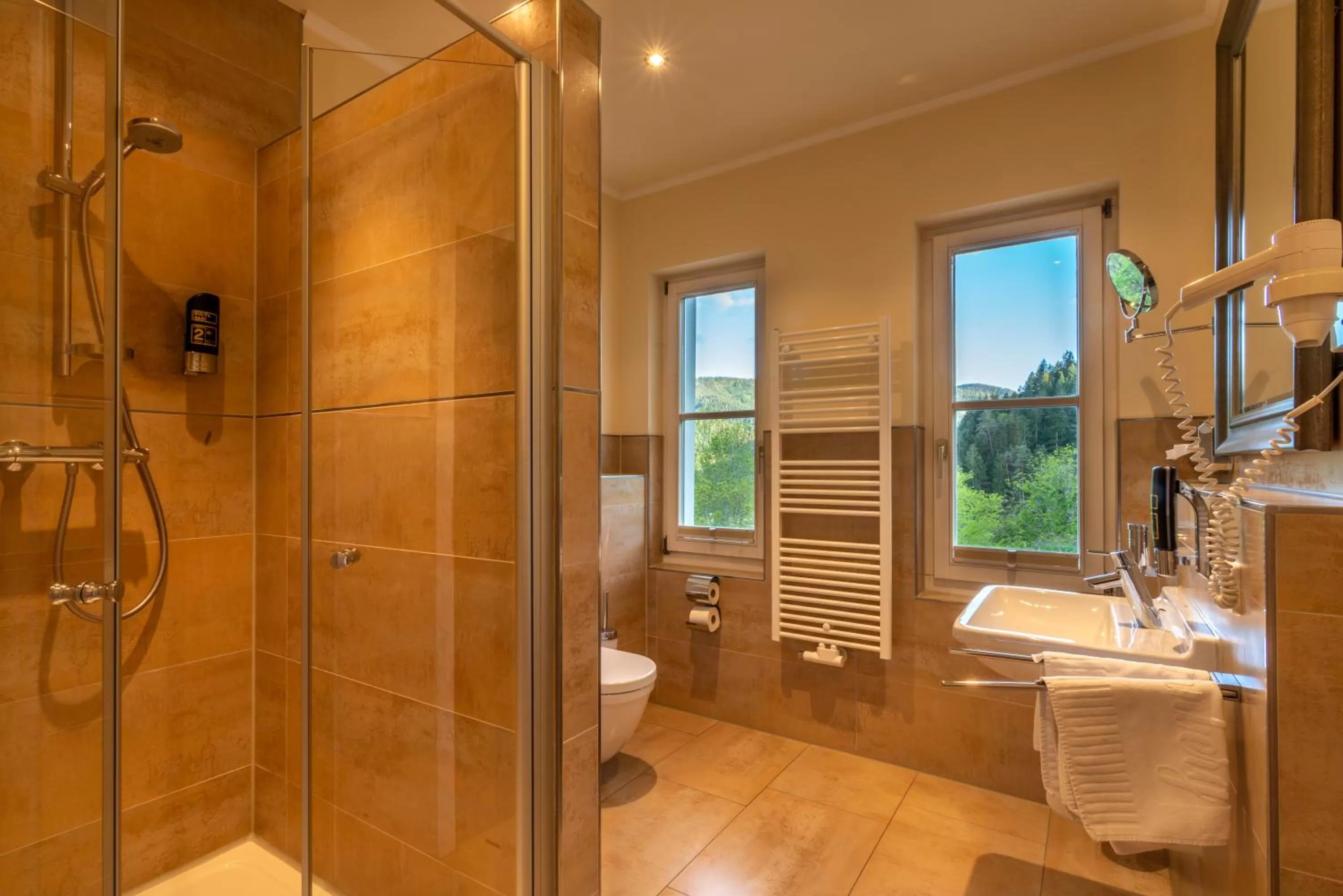 Bathroom in Hotel Schloss Hornberg