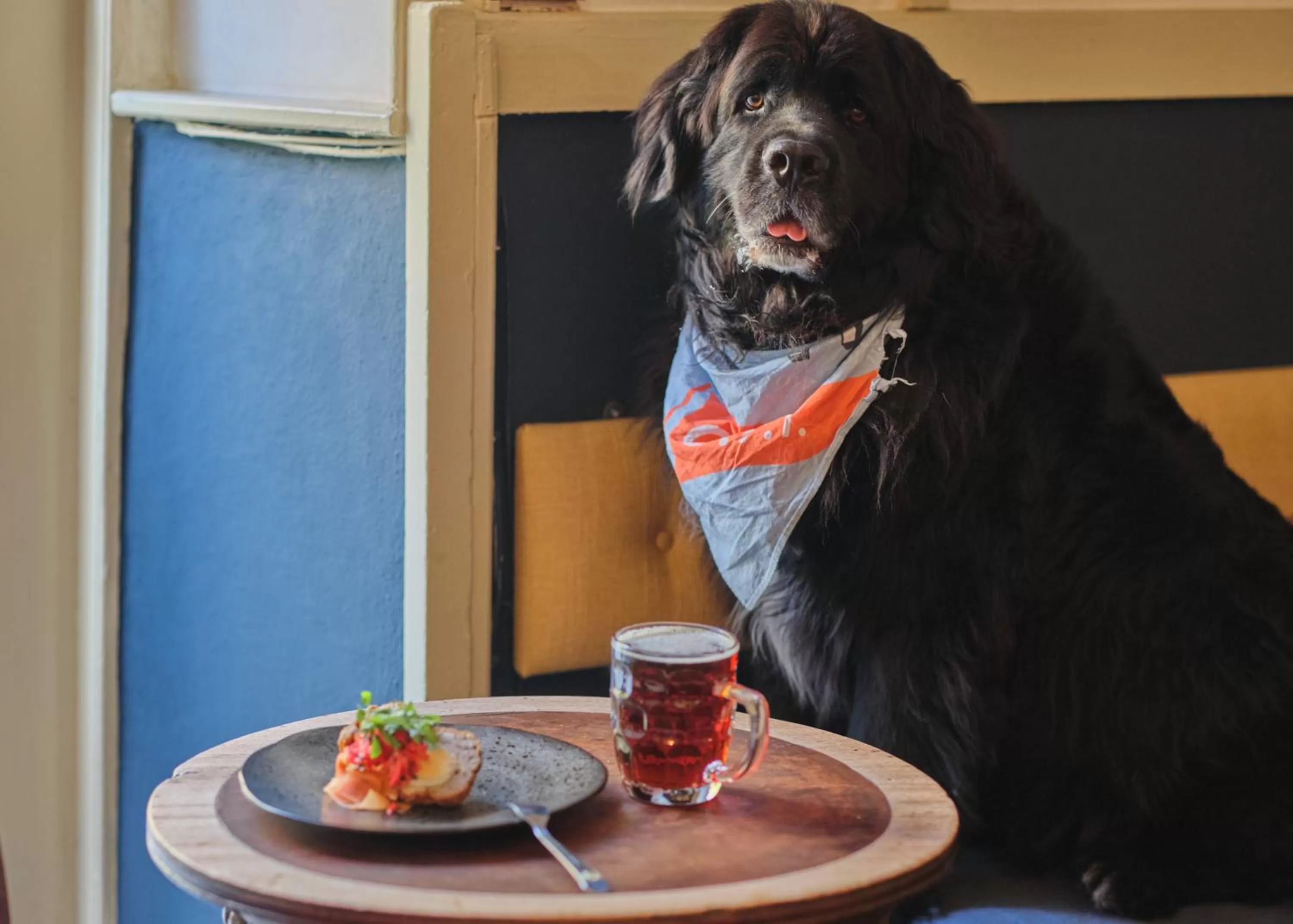 Lounge or bar in The Old Ferry Inn