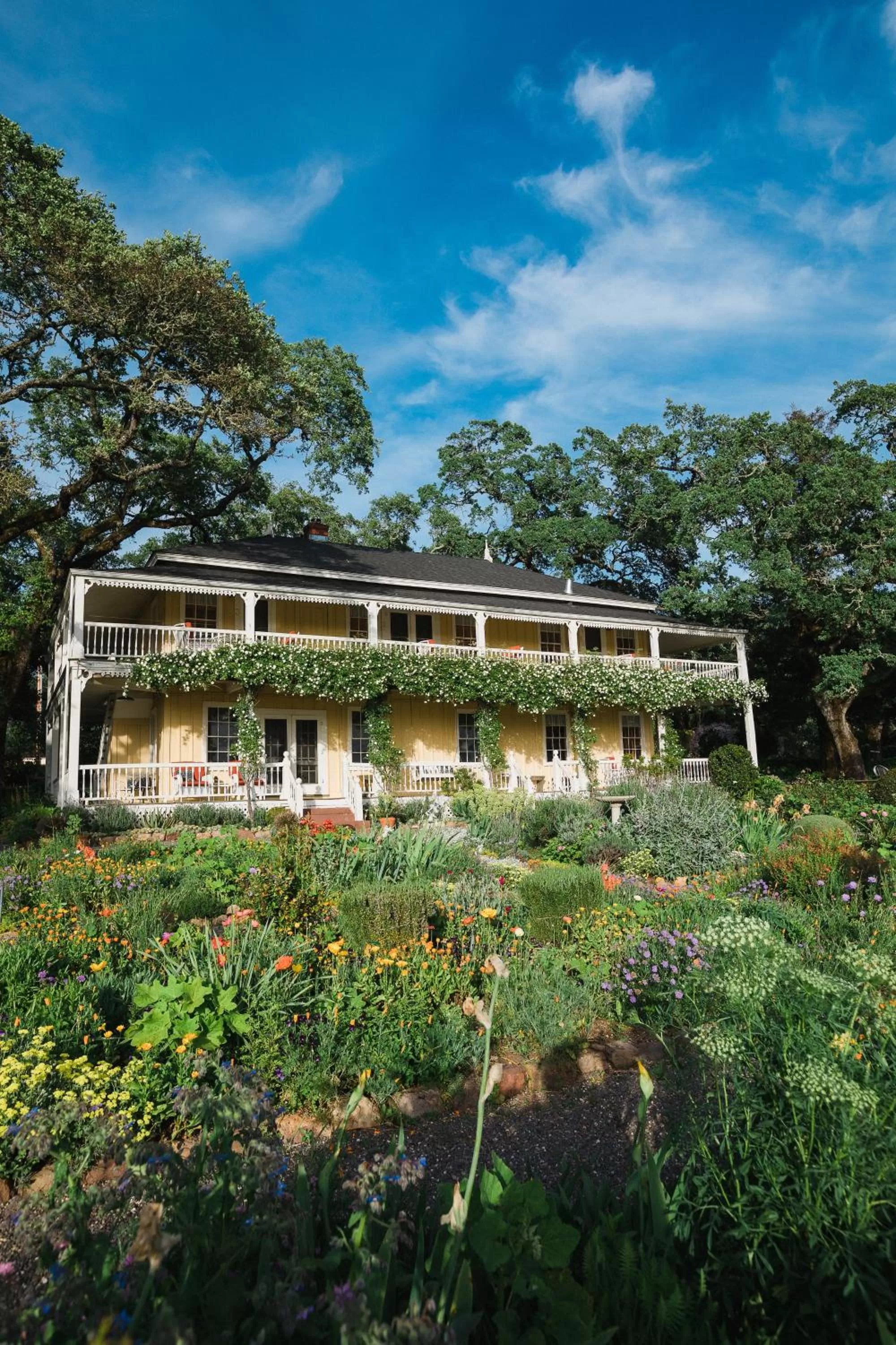 Property Building in Beltane Ranch