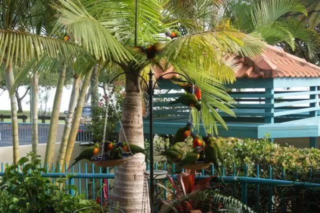 Day in The Esplanade Riverview Holiday Apartments