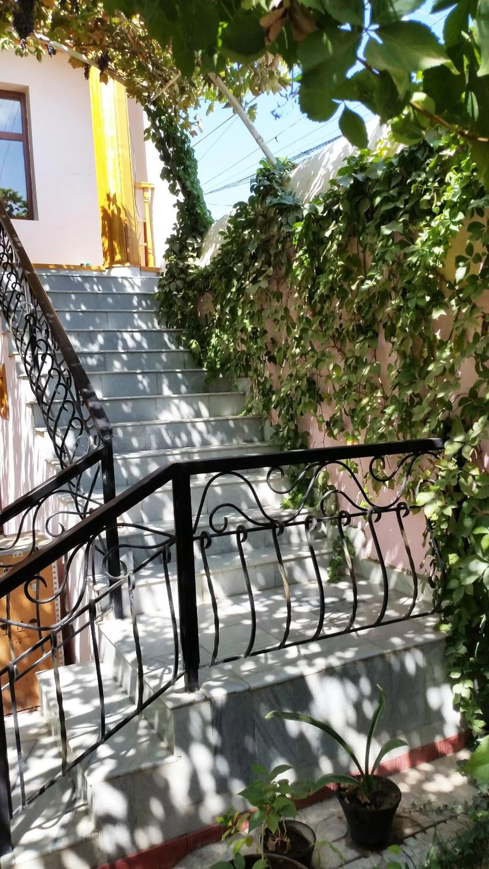 Facade/entrance, Balcony/Terrace in Jahongir Guest House