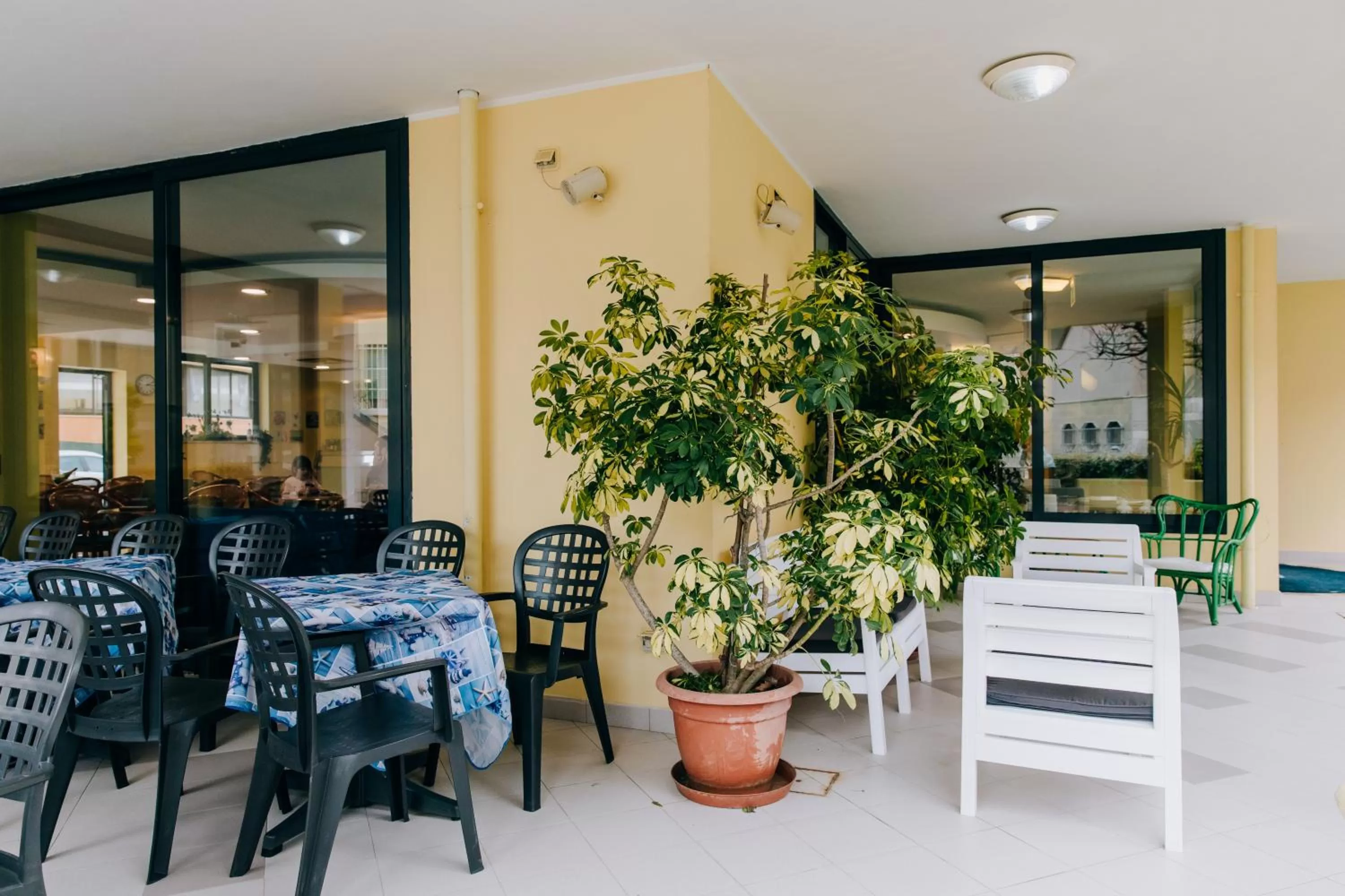 Garden in Hotel Villa Claudia