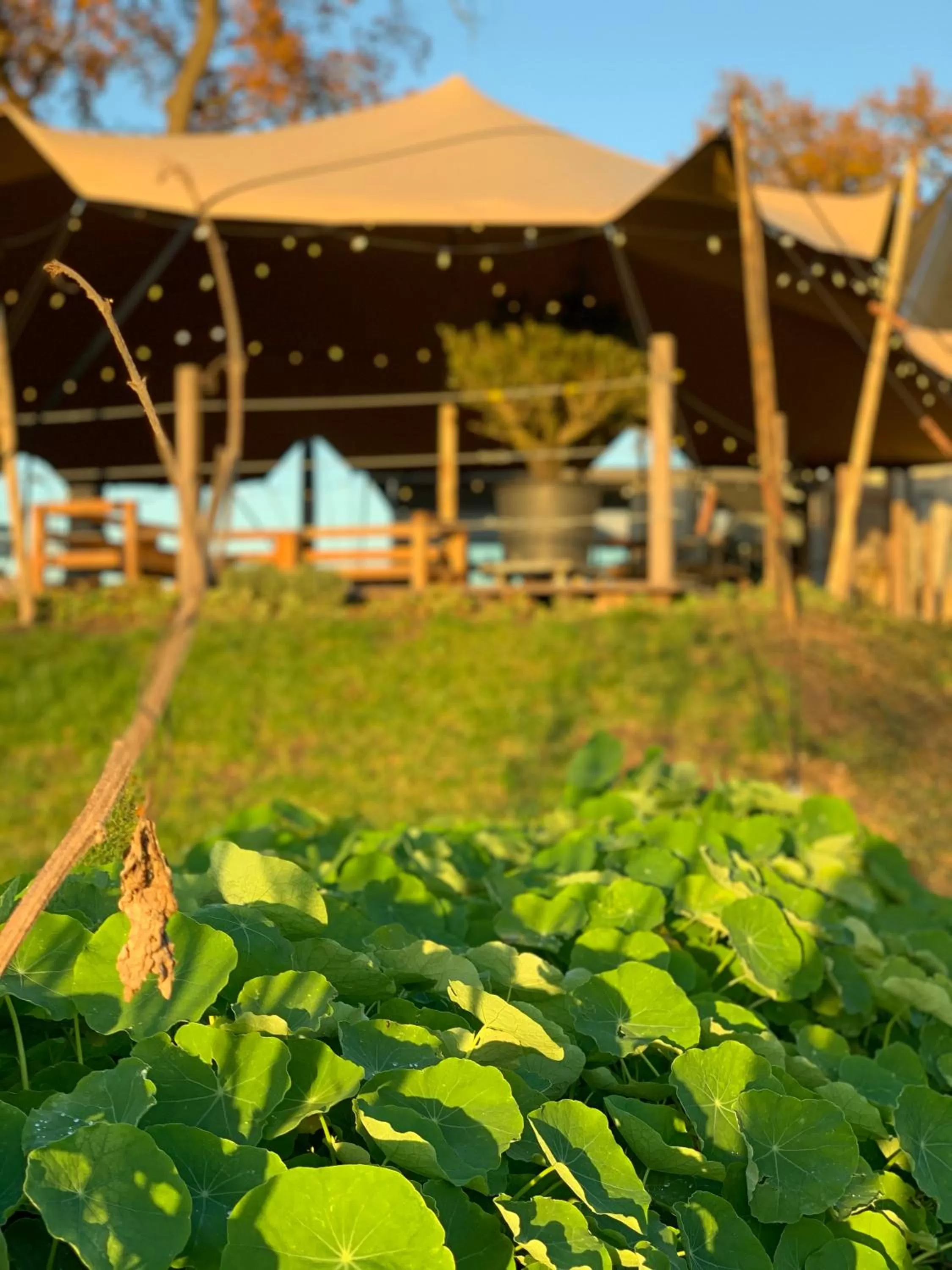 Restaurant/places to eat in LUDIEK eten en slapen