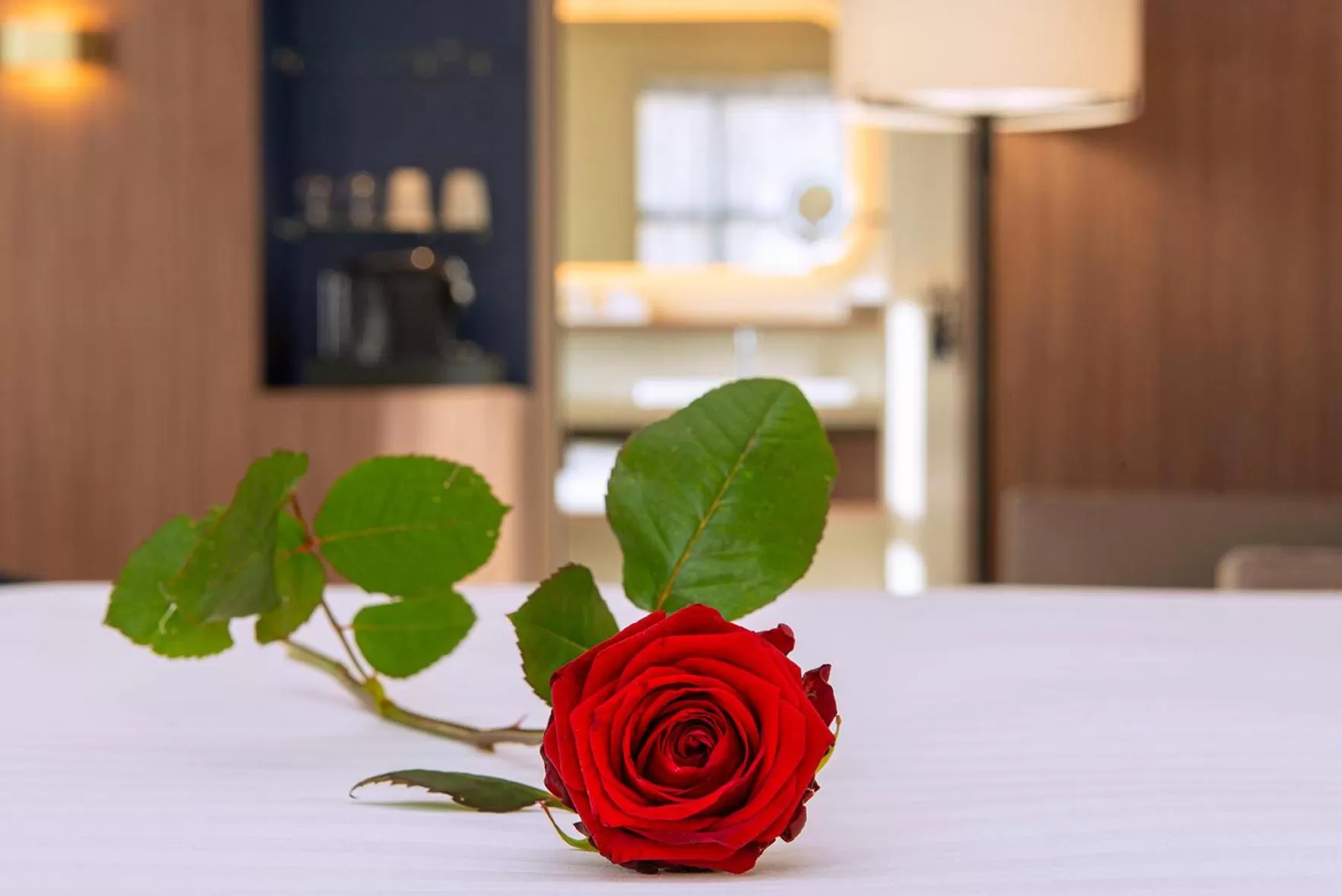 Other, Bed in Radisson Blu Hotel, Rouen Centre