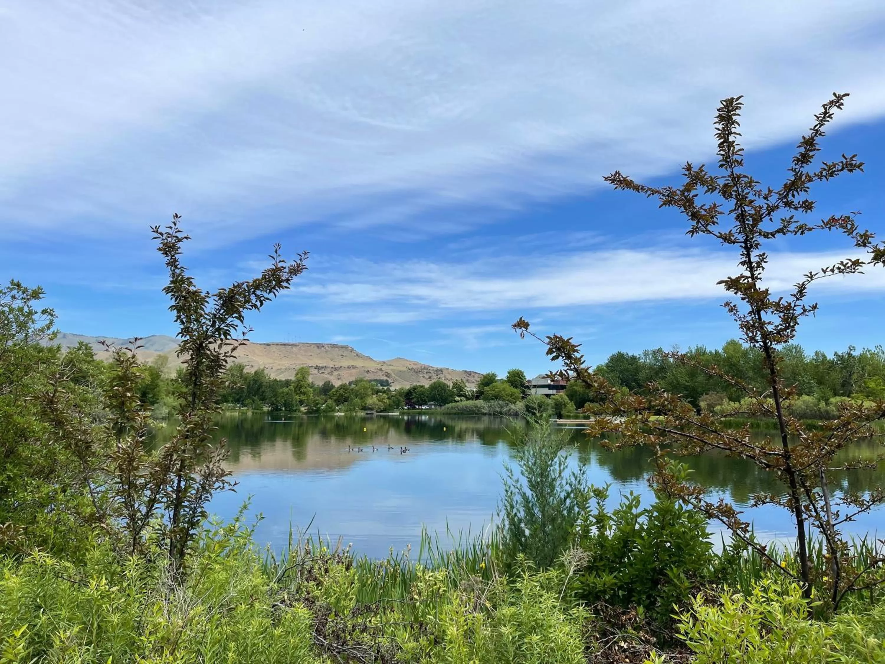 Other in Holiday Inn Express Boise Downtown by IHG