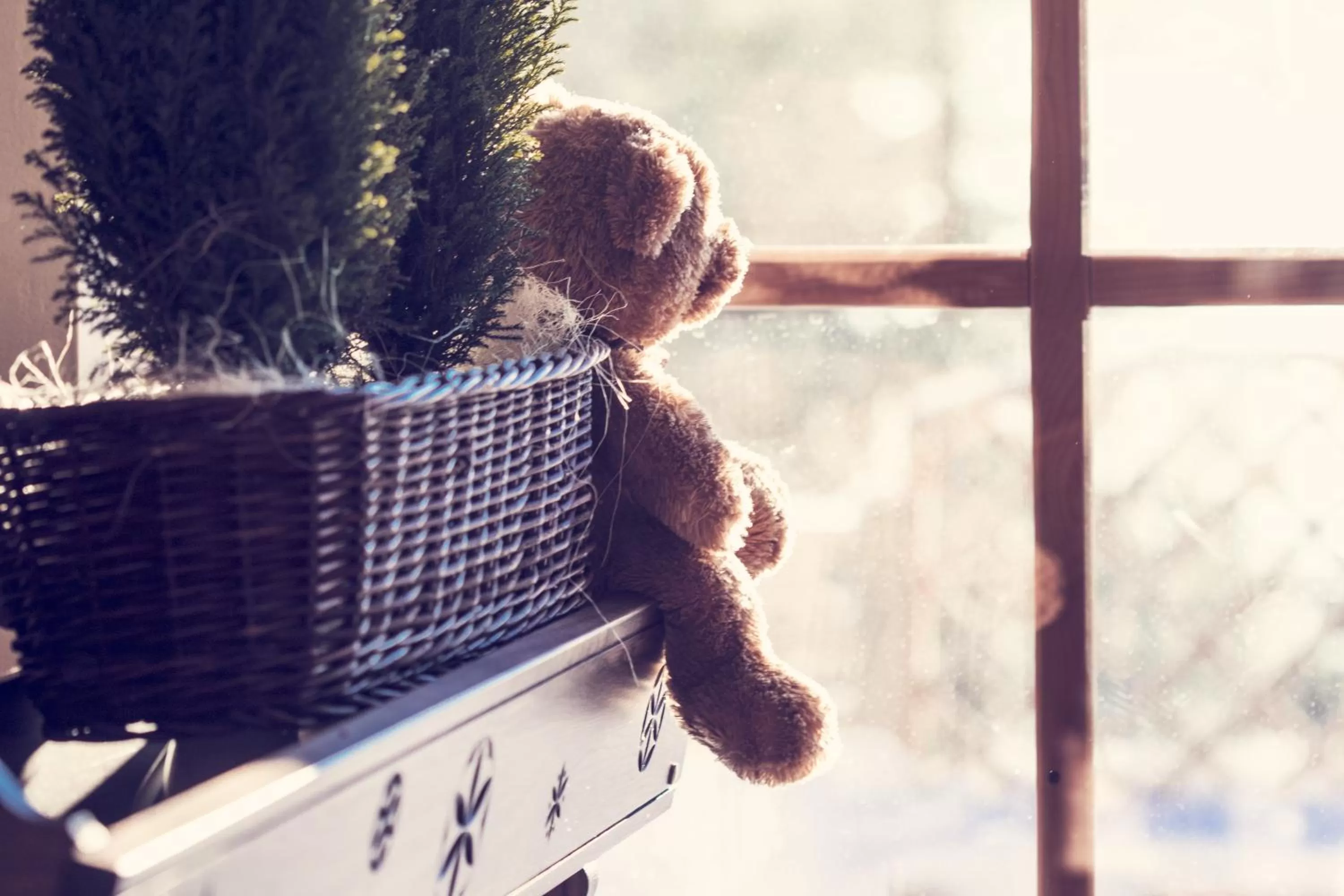 Decorative detail in Butorowy Dwór