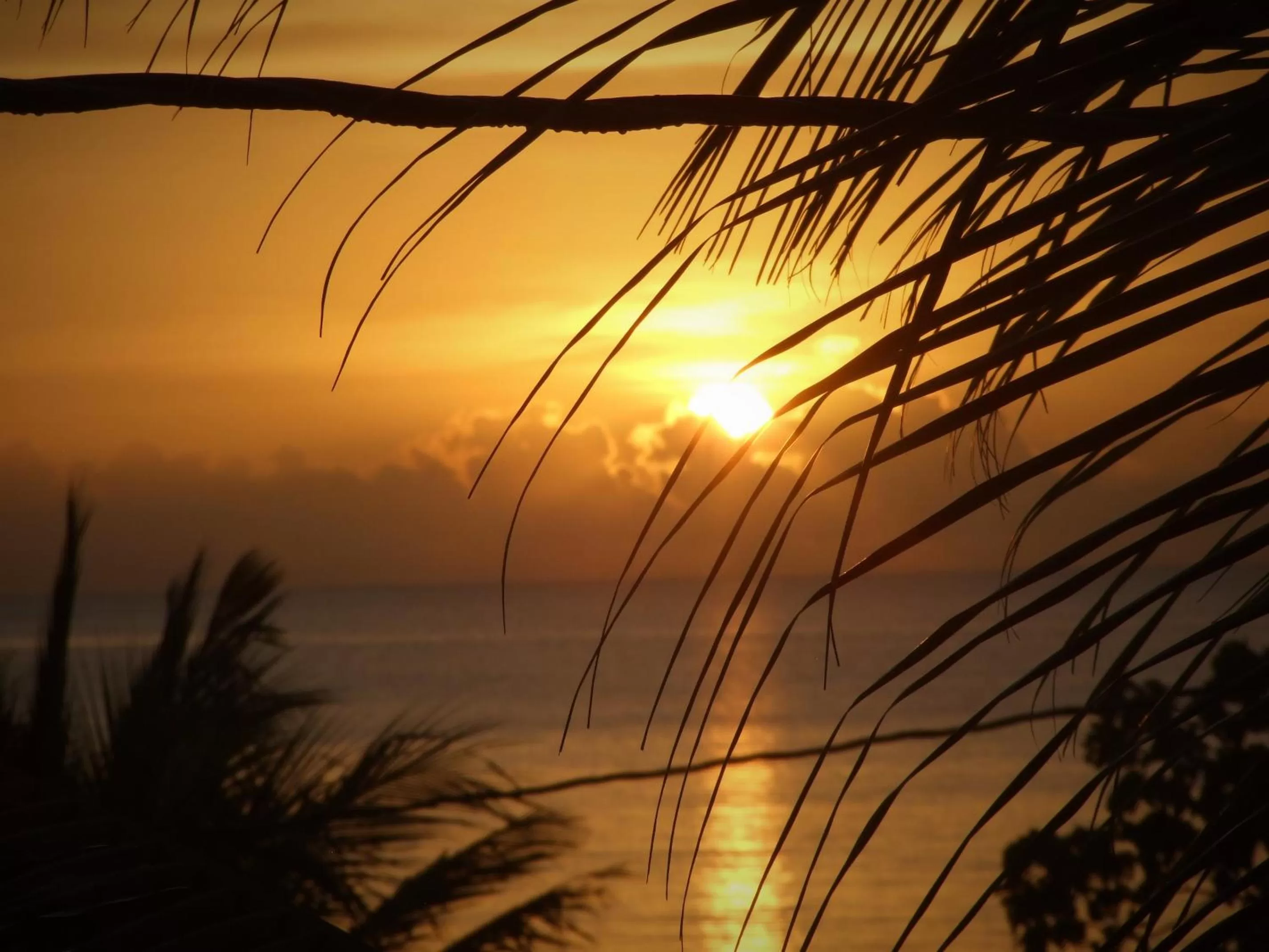 Sea view, Sunrise/Sunset in BlueBelize B&B