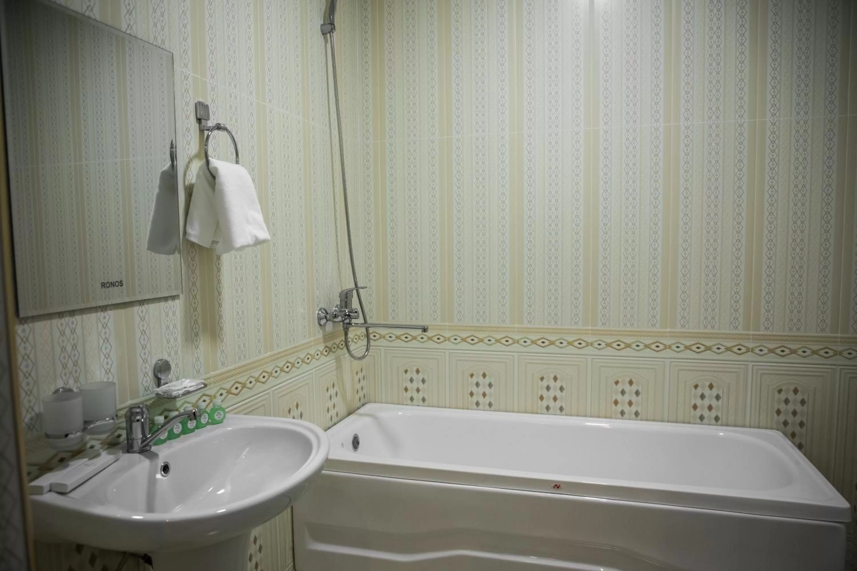 Bathroom in Hotel Minor