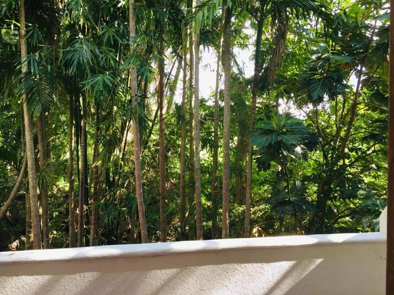 Garden view, Balcony/Terrace in Divine Villa