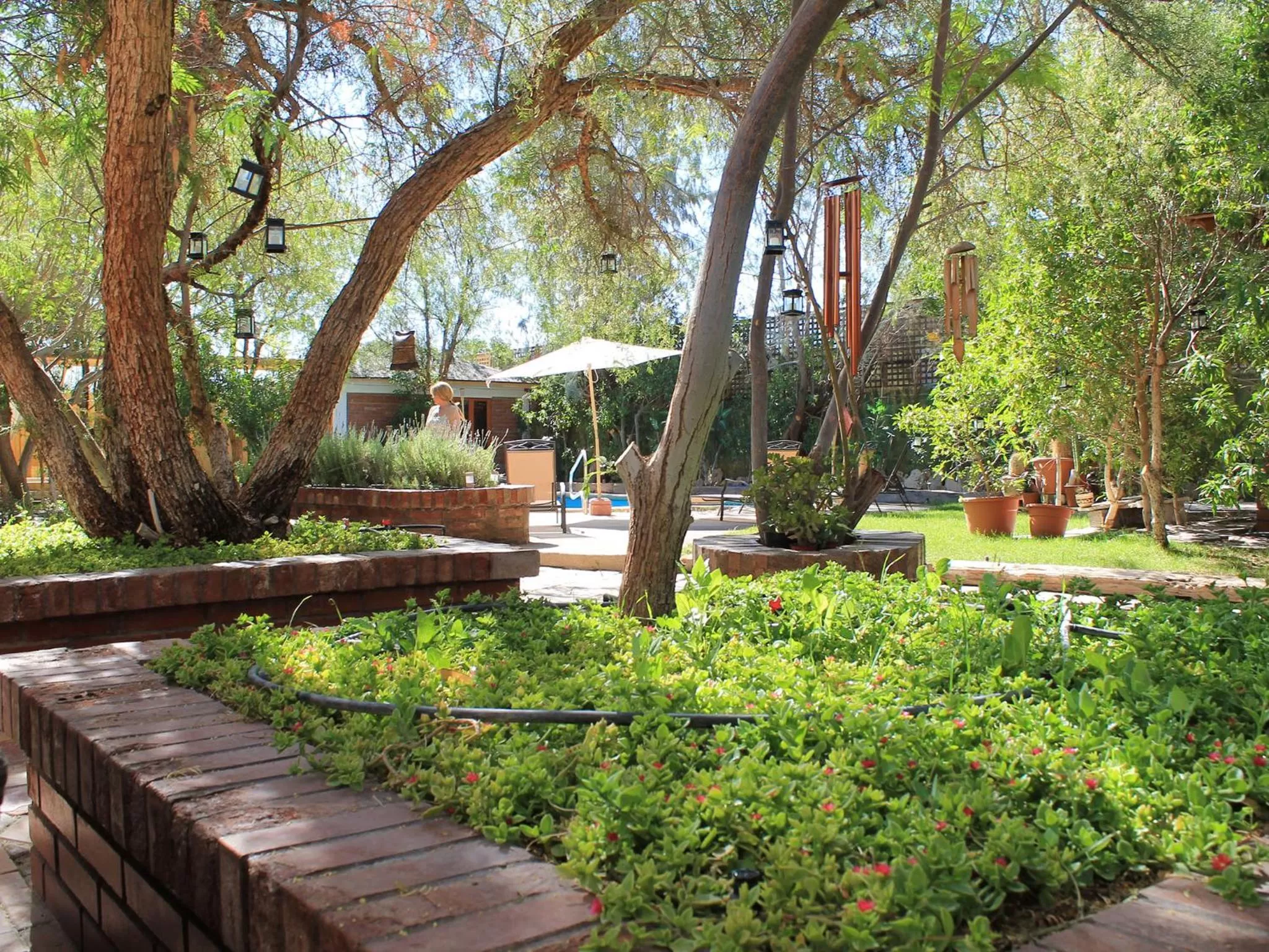 Patio, Garden in Atankalama