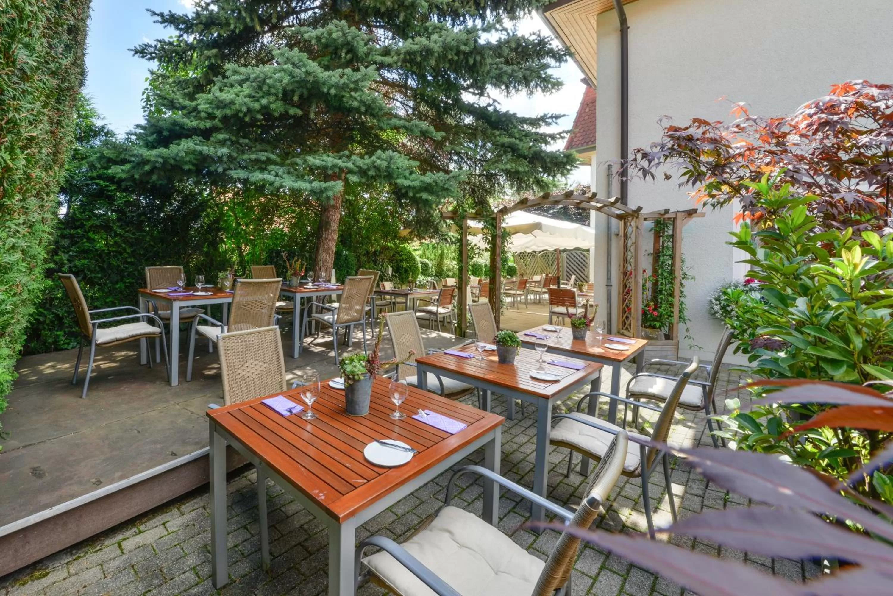 Balcony/Terrace in Mayers Waldhorn - zwischen Reutlingen und Tübingen